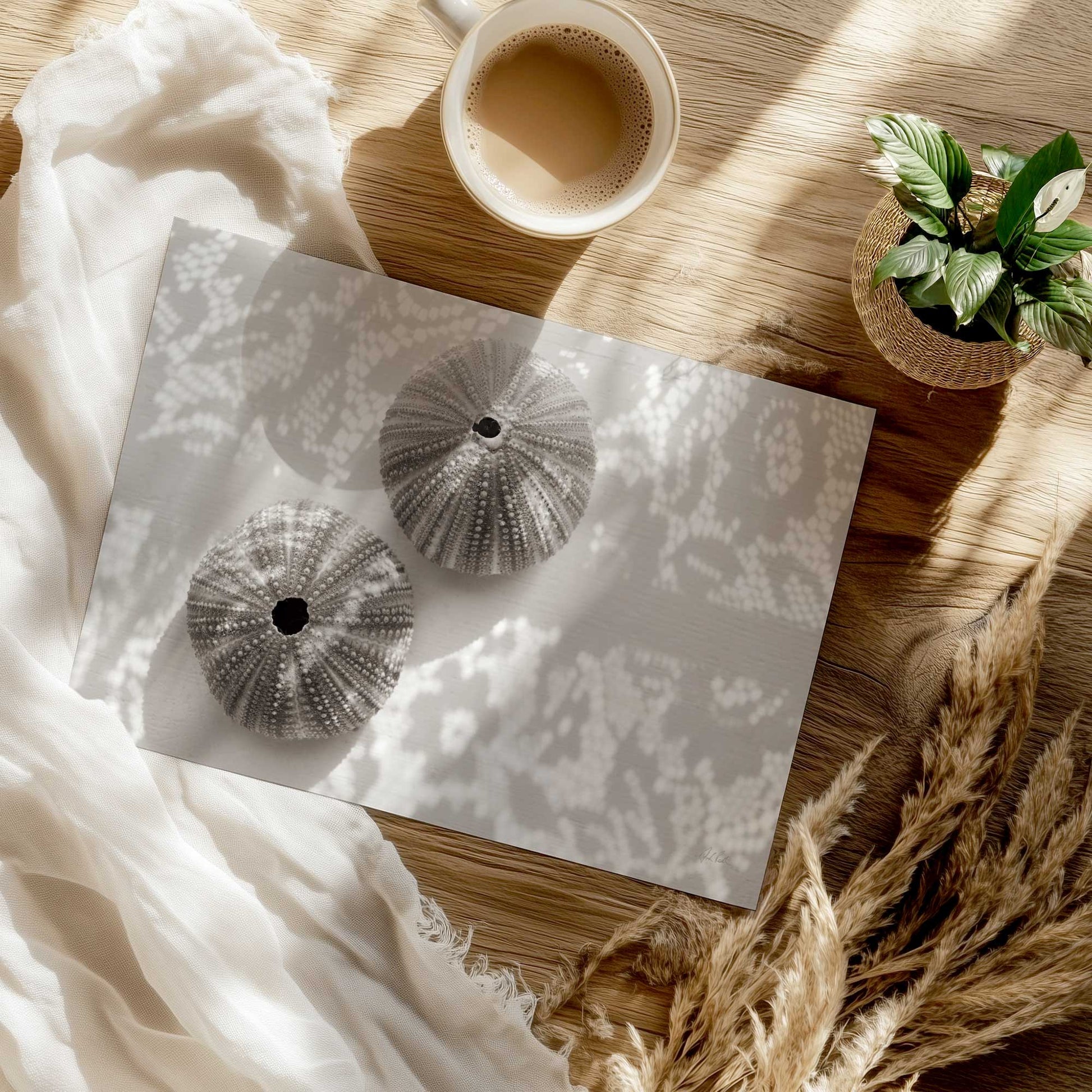 [Color:Rolled Print], Picture of close up of art