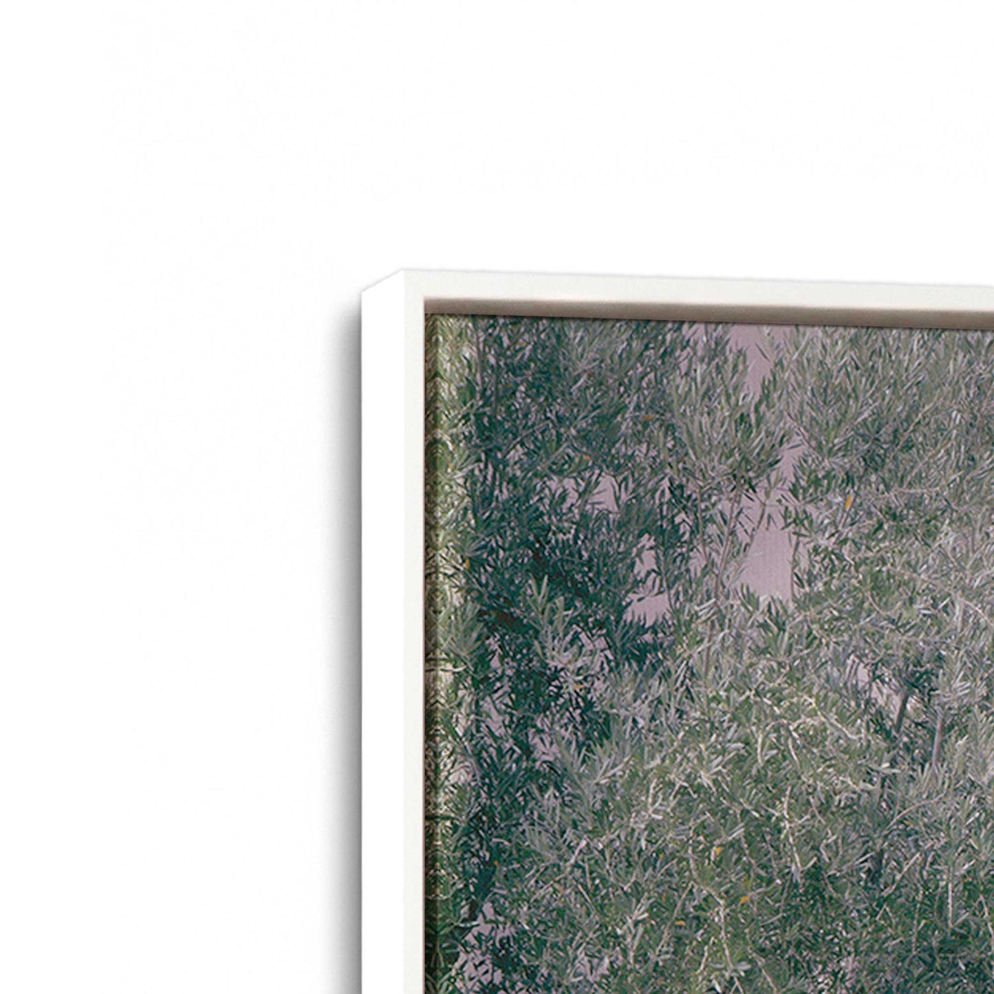 [Color:Opaque White], Picture of art in a White frame at an angle