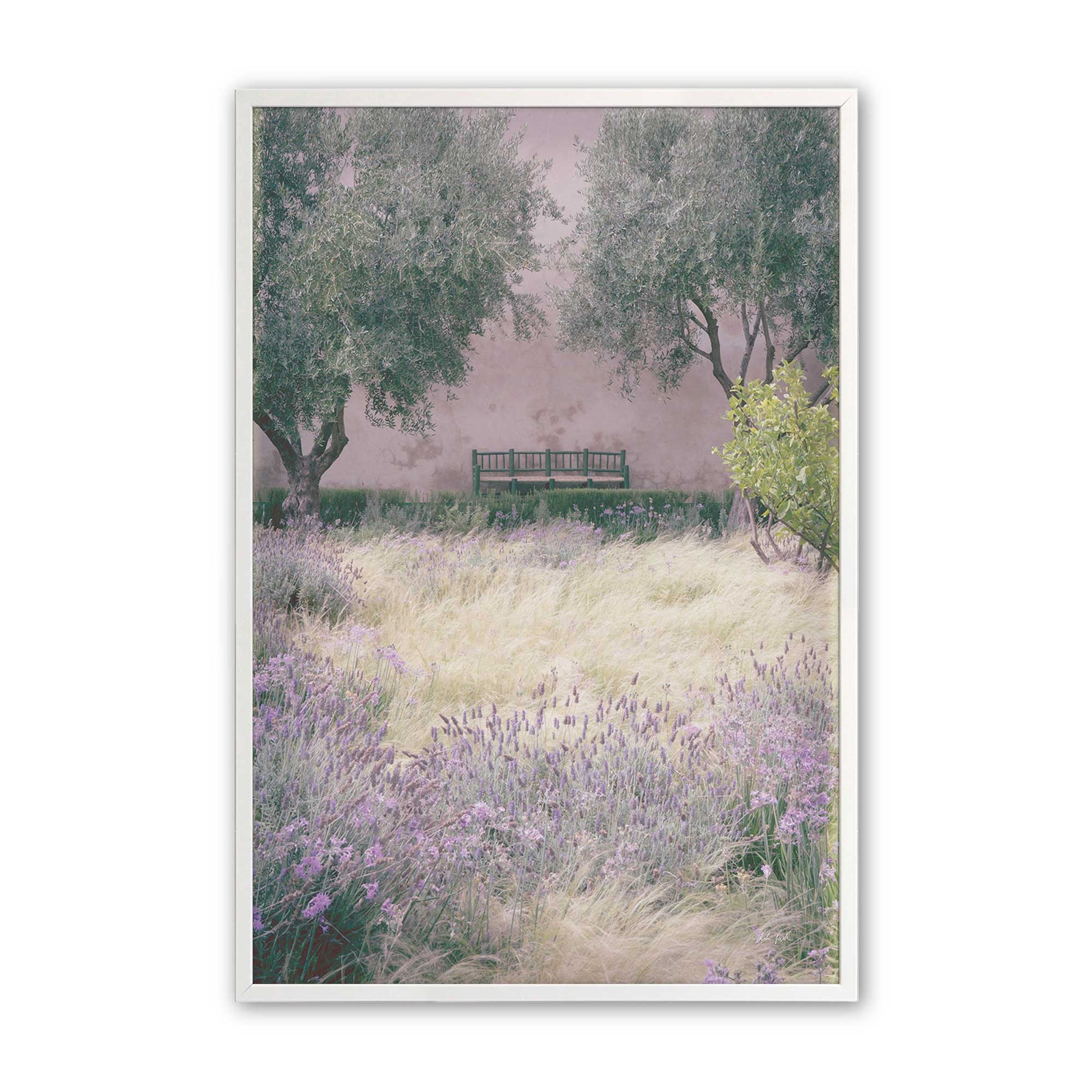 [Color:Opaque White], Picture of art in a Opaque White frame