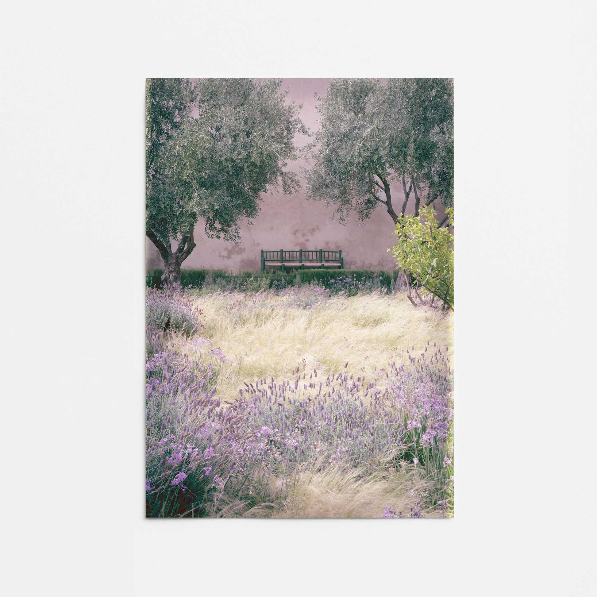 [Color:Rolled Print], Picture of close up of art