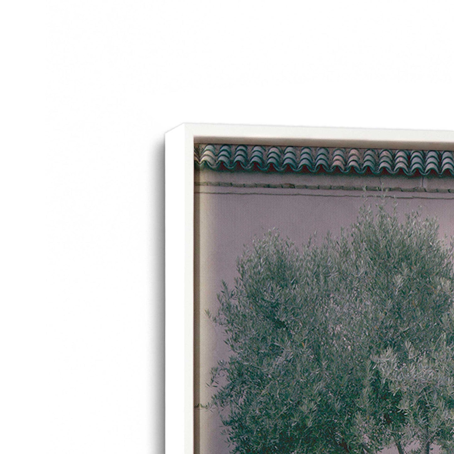 [Color:Opaque White], Picture of art in a White frame at an angle