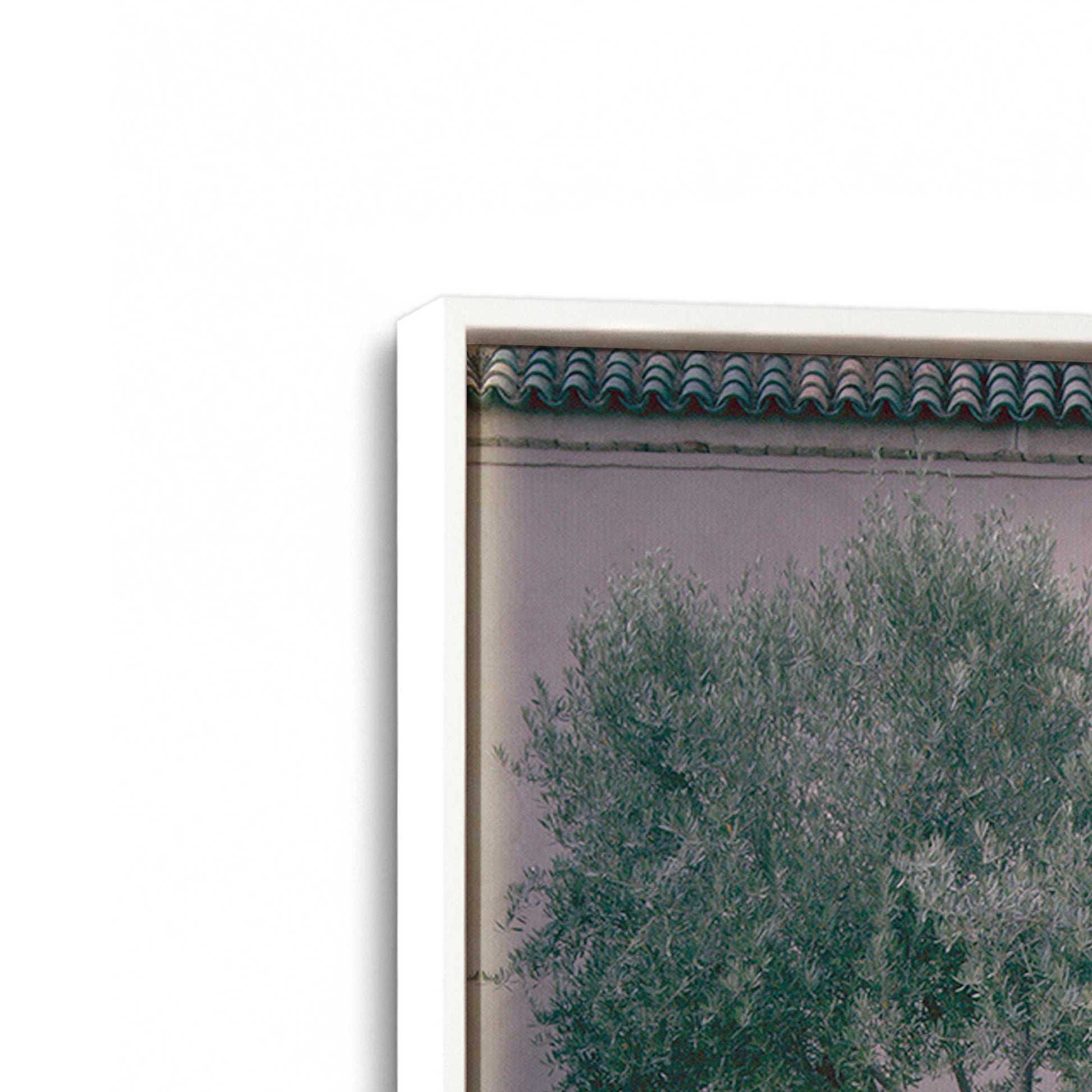 [Color:Opaque White], Picture of art in a White frame at an angle