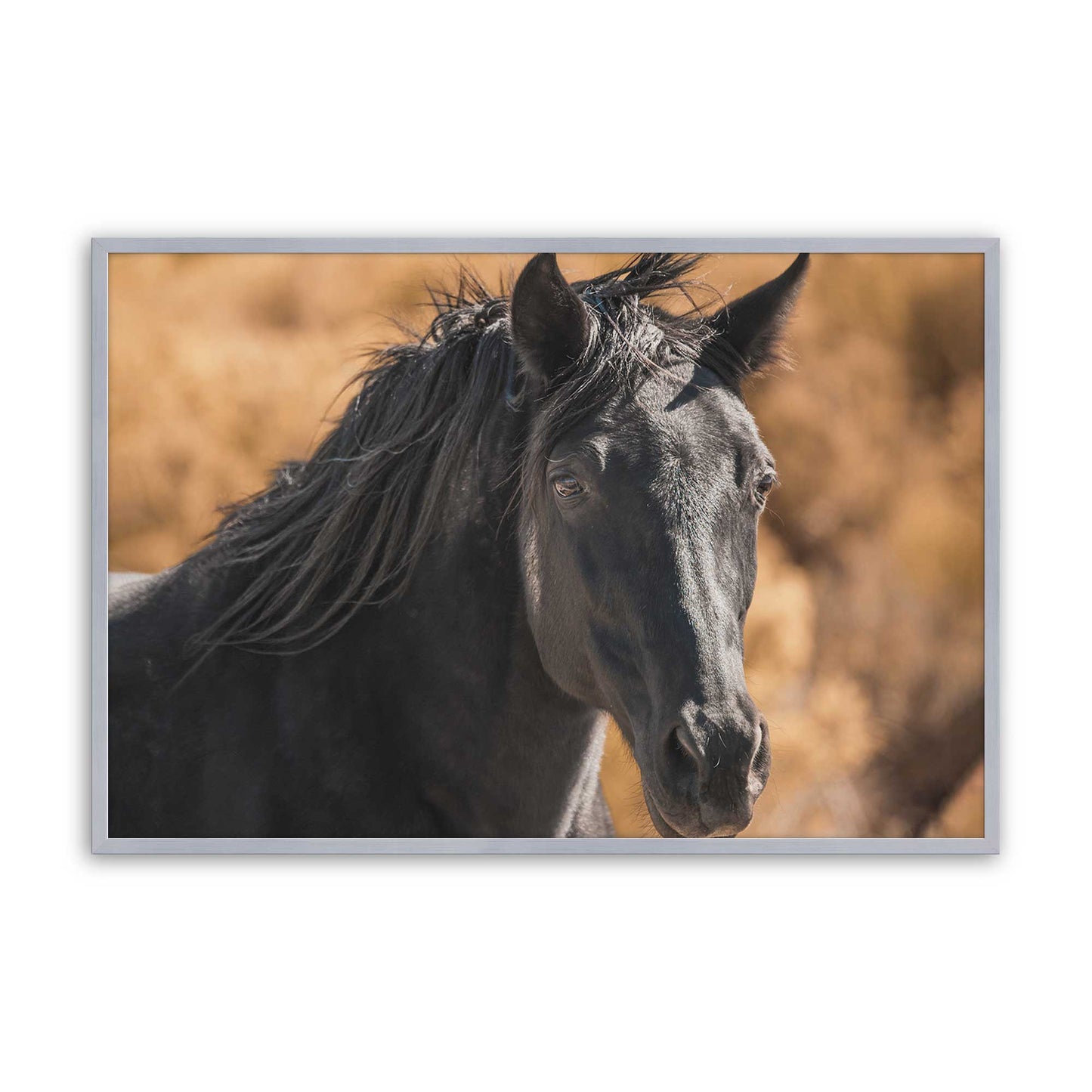 [Color:Polished Chrome], Picture of art in a Polished Chrome frame