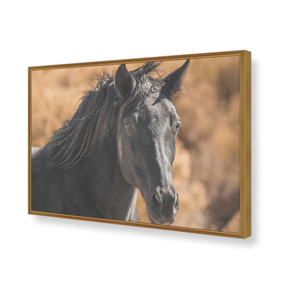 [Color:Polished Gold], Picture of art in a Polished Gold frame of the corner