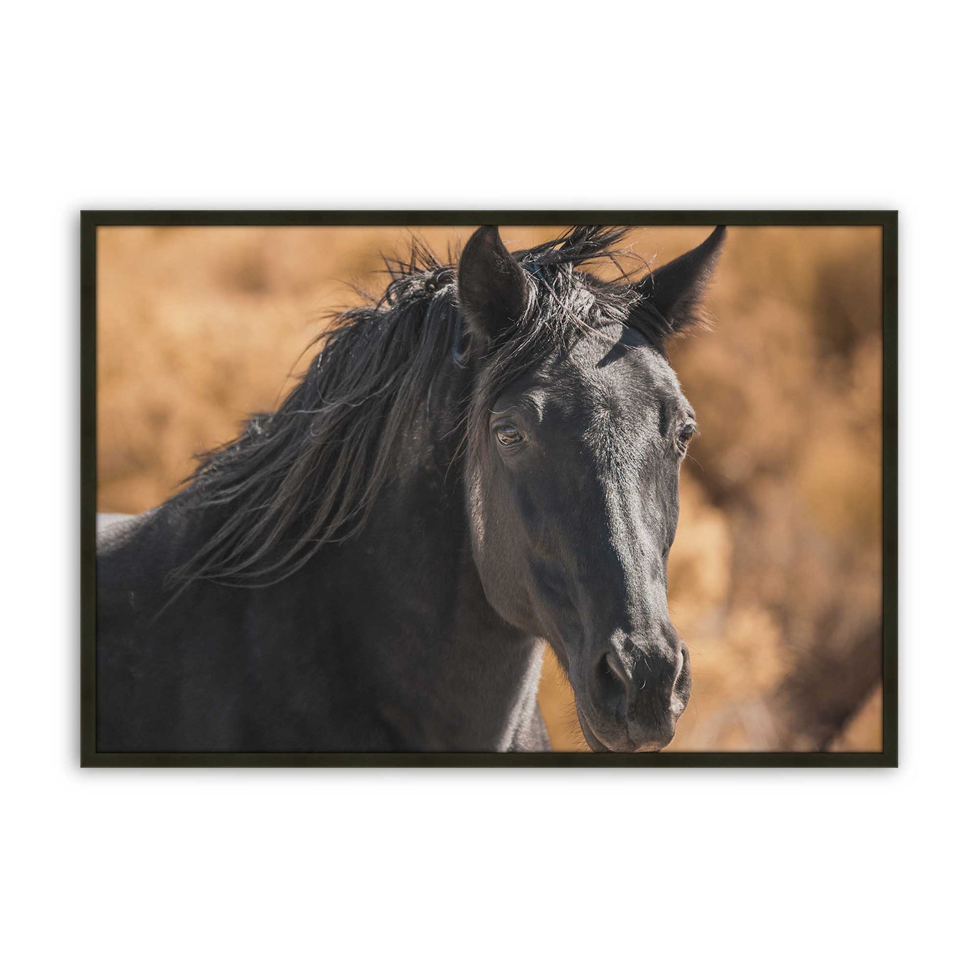 [Color:Satin Black], Picture of art in a Satin Black frame