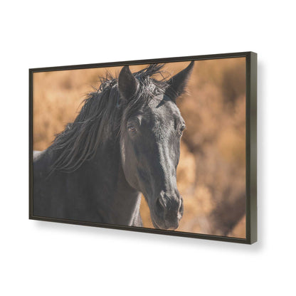 [Color:Satin Black], Picture of art in a Satin Black frame of the corner
