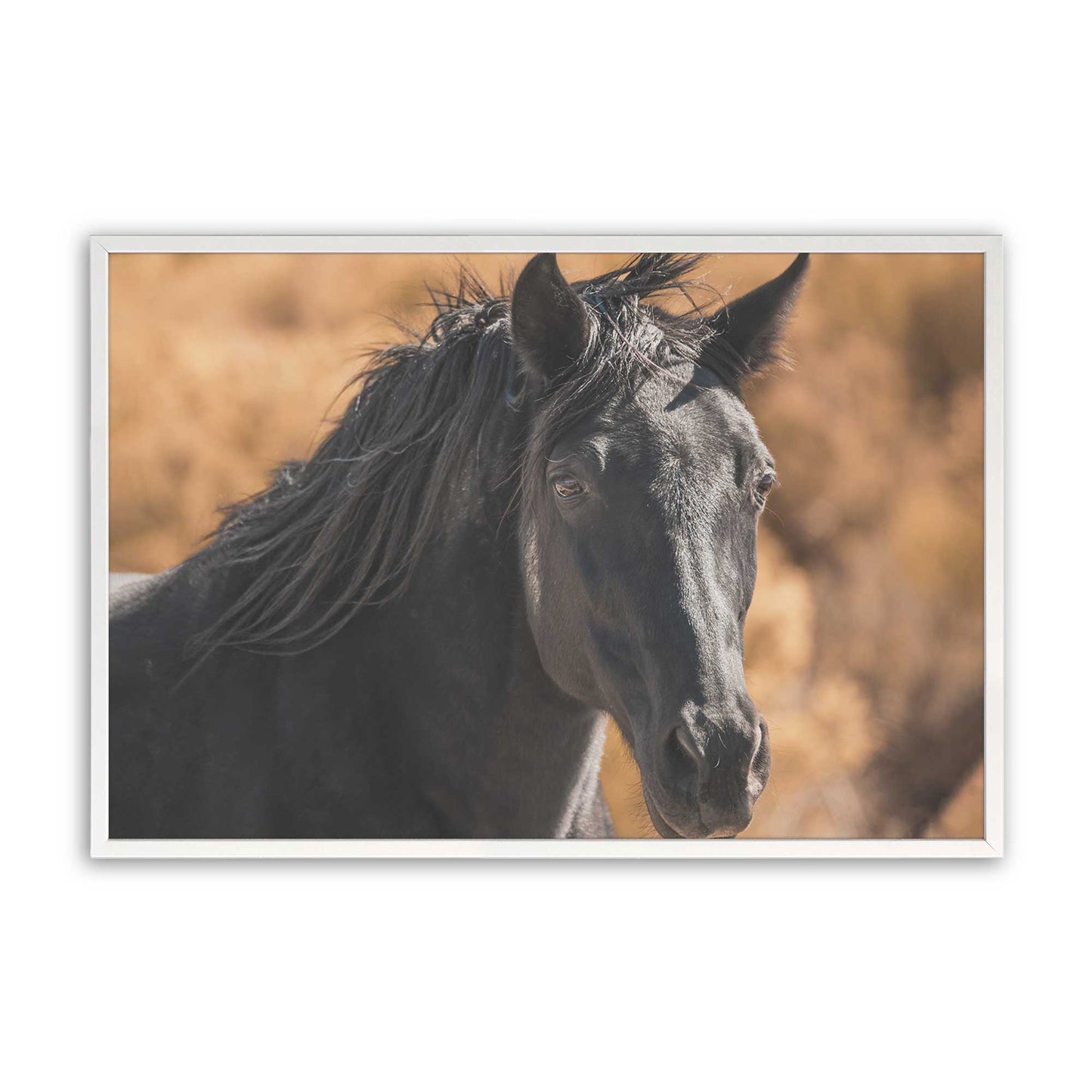 [Color:Opaque White], Picture of art in a Opaque White frame