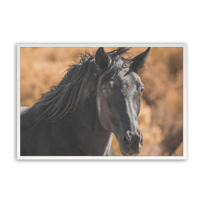 [Color:Opaque White], Picture of art in a Opaque White frame