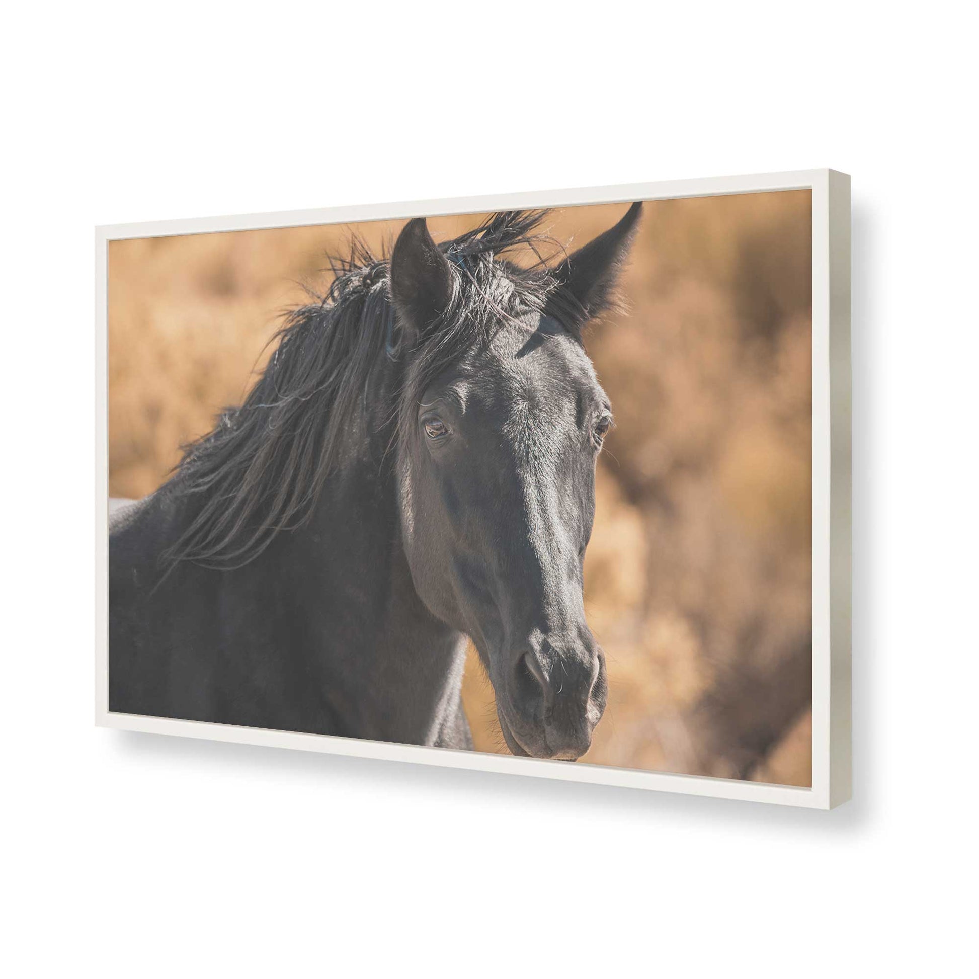 [Color:Opaque White], Picture of art in a Opaque White frame of the corner