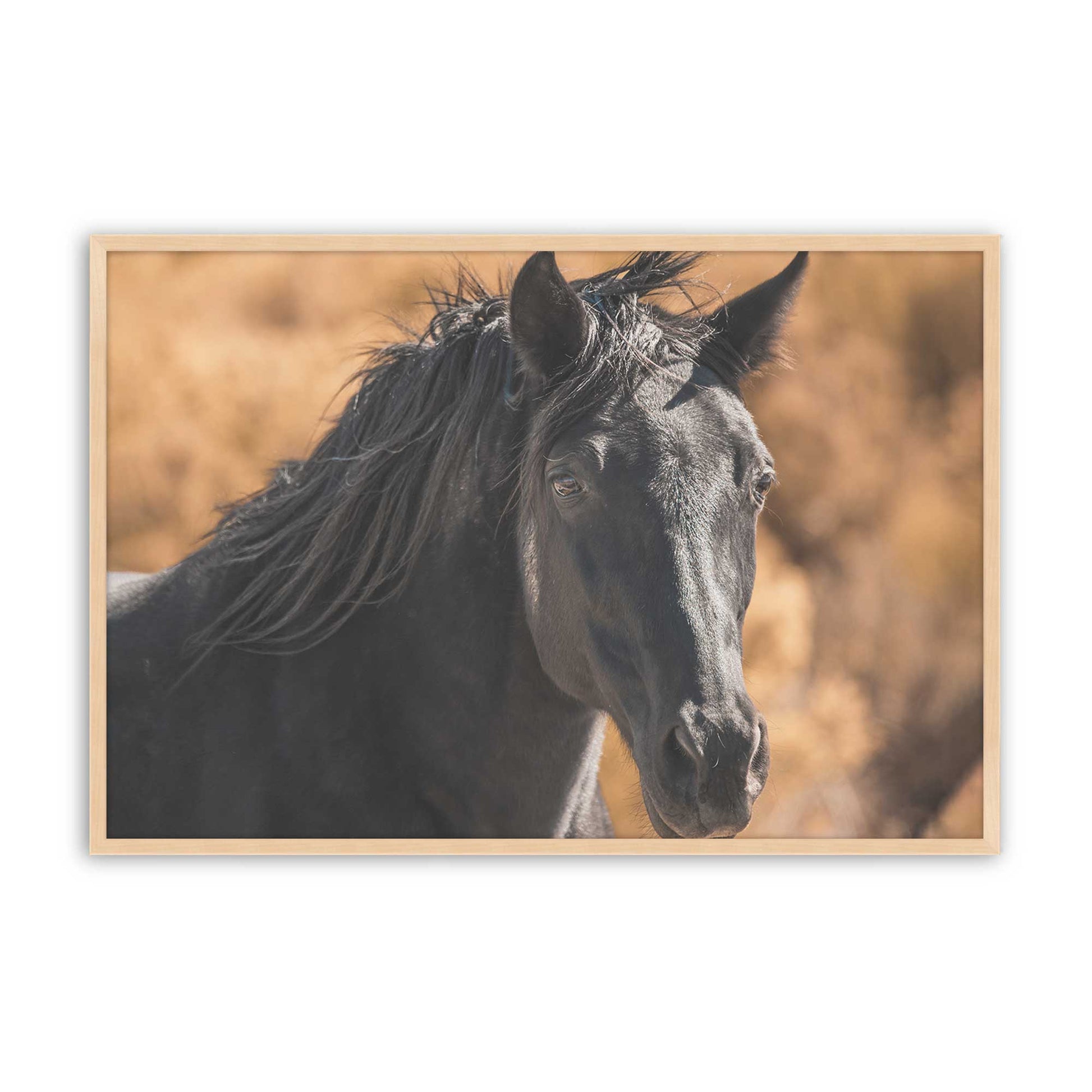 [Color:Raw Maple], Picture of art in a Raw Maple frame
