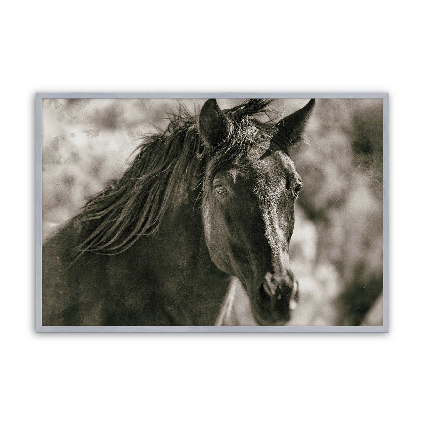 [Color:Polished Chrome], Picture of art in a Polished Chrome frame