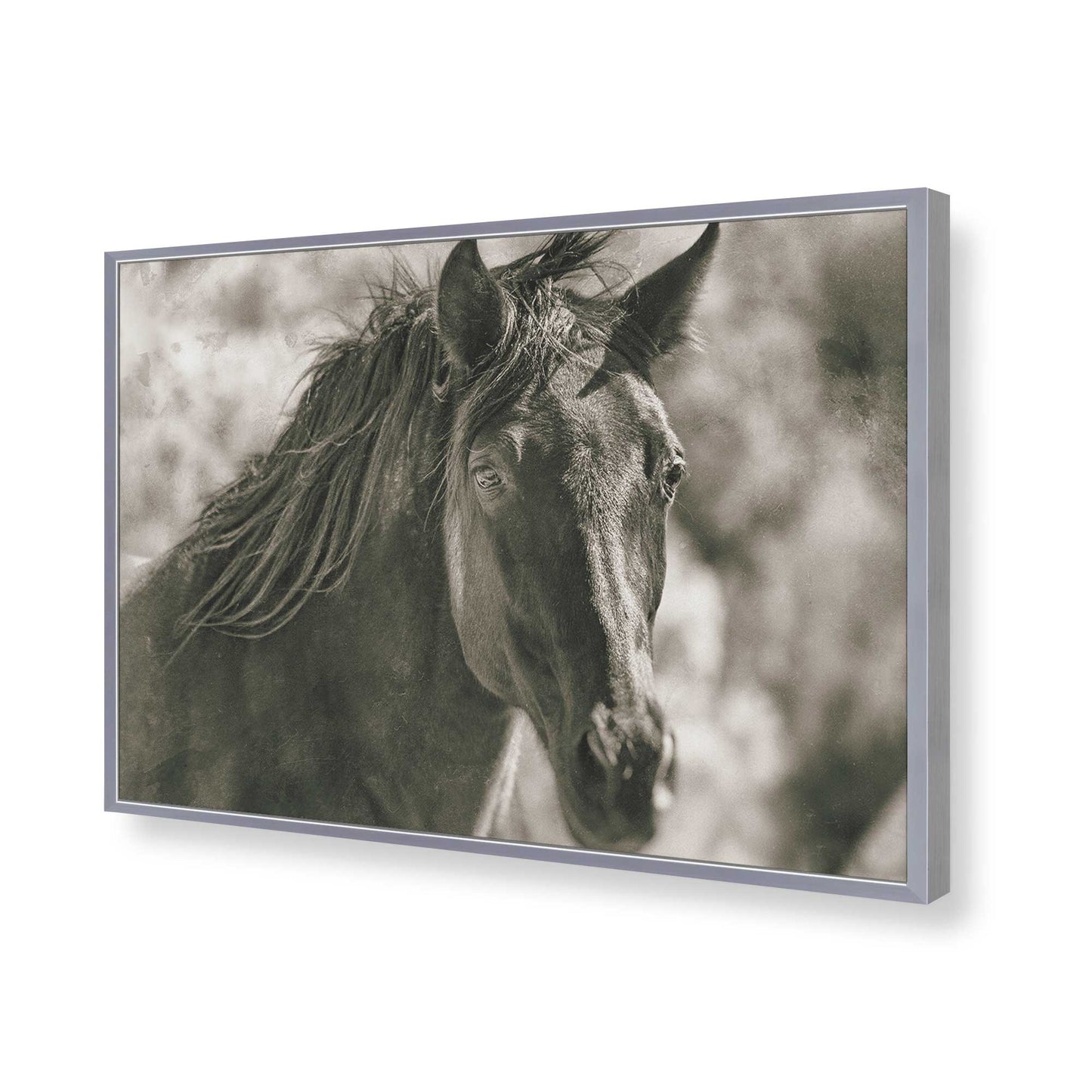 [Color:Polished Chrome], Picture of art in a Polished Chrome frame of the corner