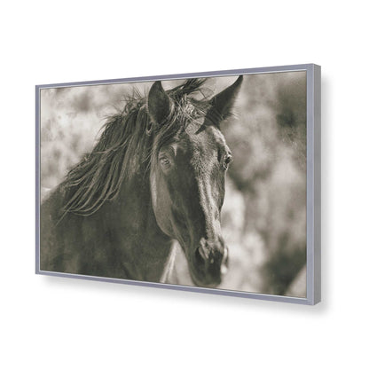 [Color:Polished Chrome], Picture of art in a Polished Chrome frame of the corner