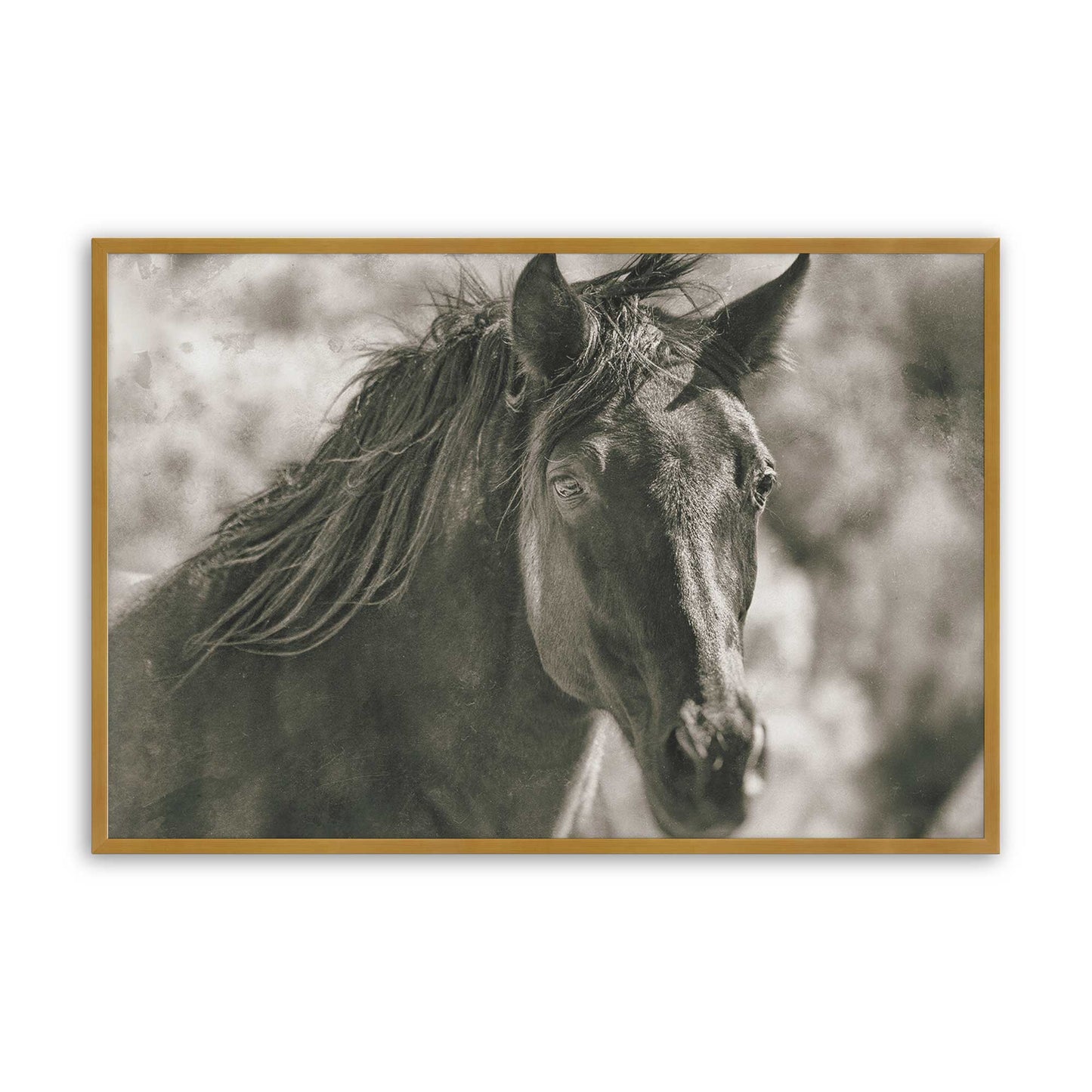 [Color:Polished Gold], Picture of art in a Polished Gold frame