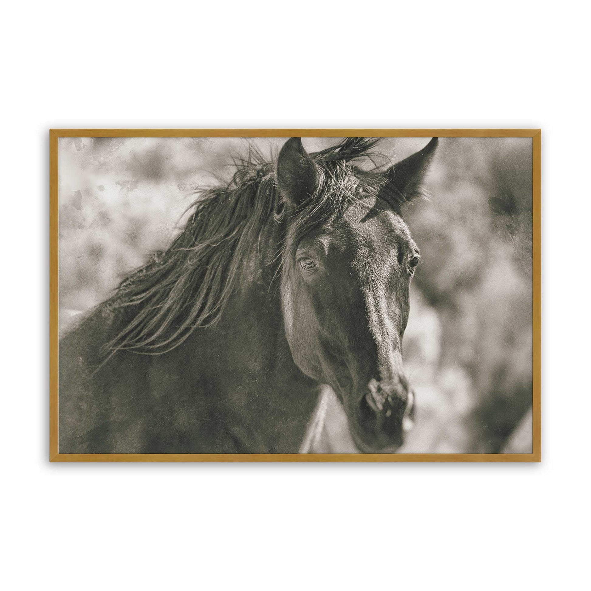 [Color:Polished Gold], Picture of art in a Polished Gold frame