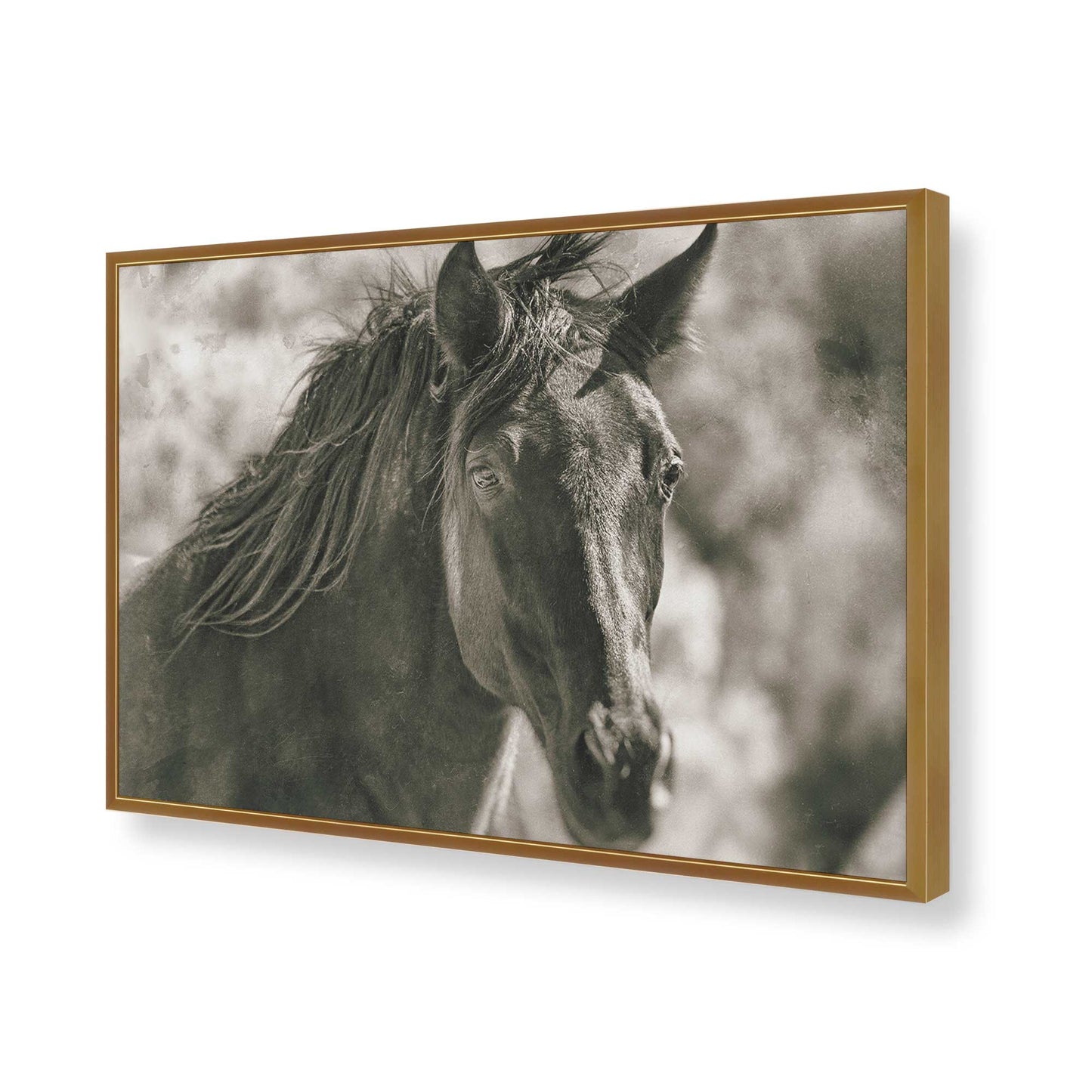 [Color:Polished Gold], Picture of art in a Polished Gold frame of the corner