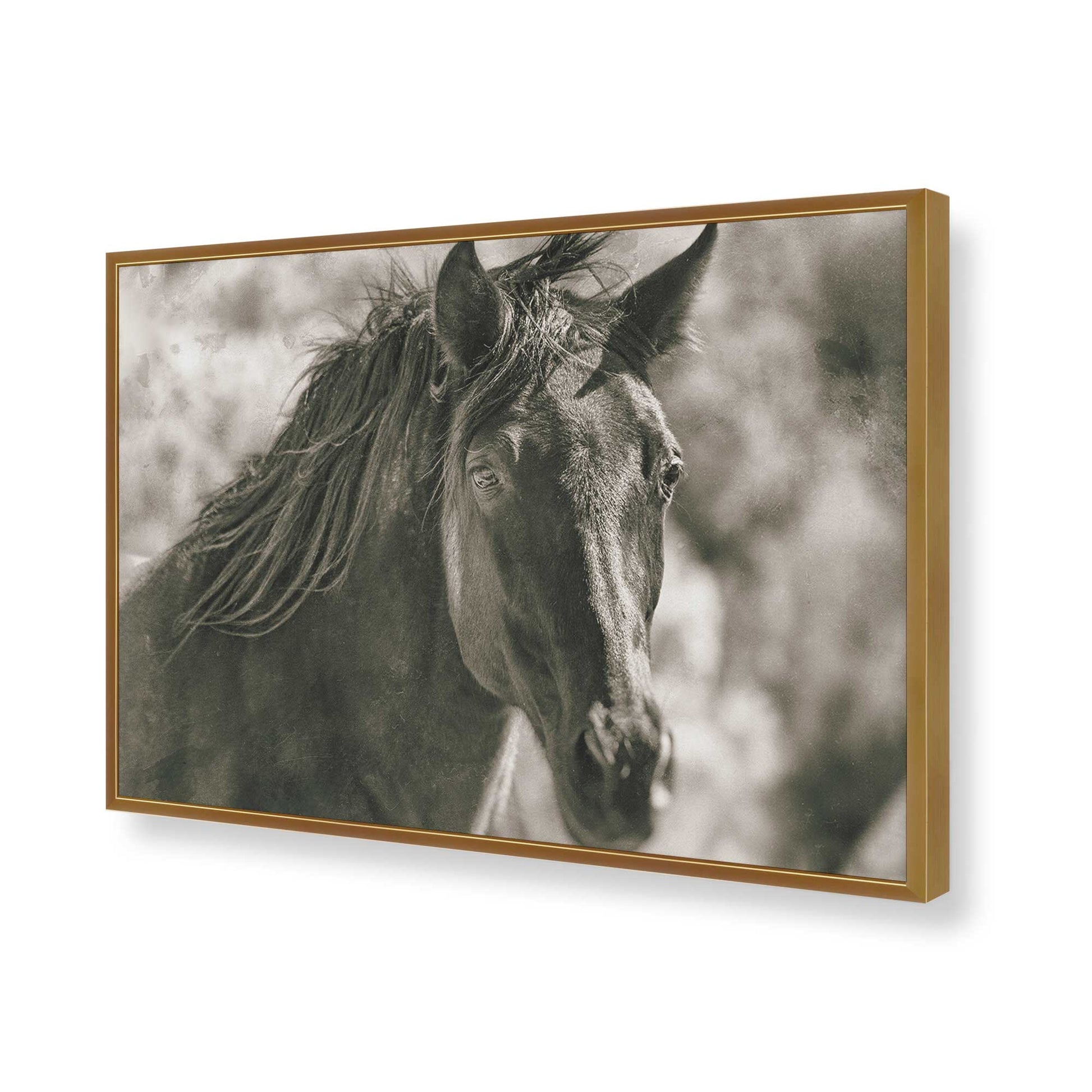 [Color:Polished Gold], Picture of art in a Polished Gold frame of the corner
