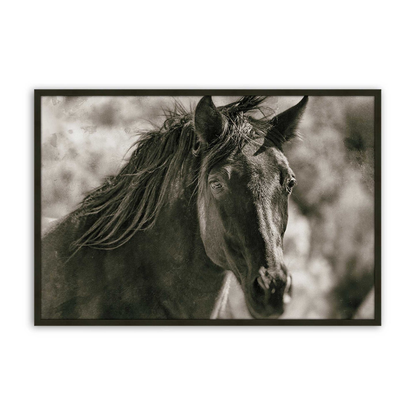 [Color:Satin Black], Picture of art in a Satin Black frame