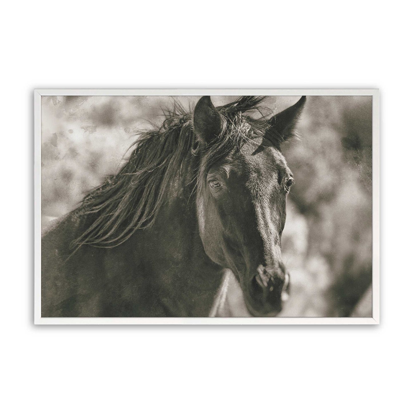 [Color:Opaque White], Picture of art in a Opaque White frame