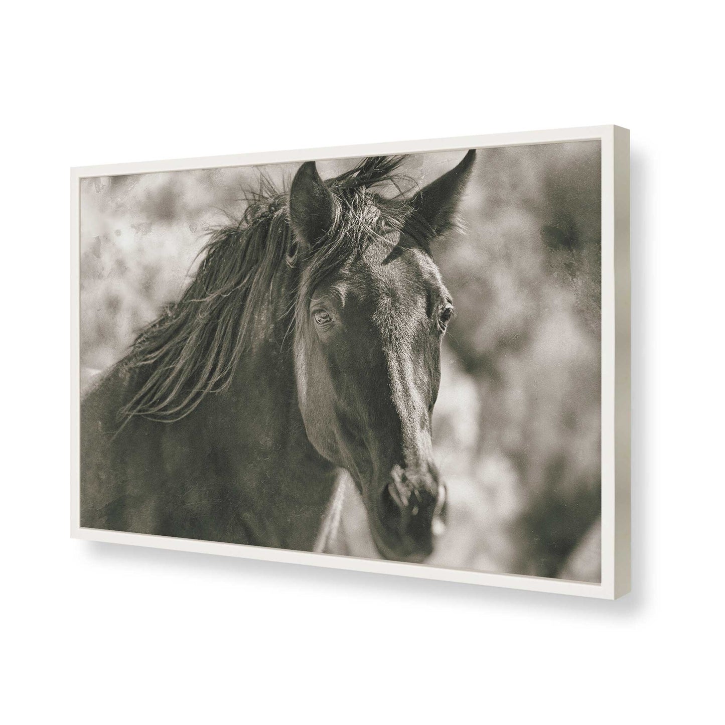 [Color:Opaque White], Picture of art in a Opaque White frame of the corner