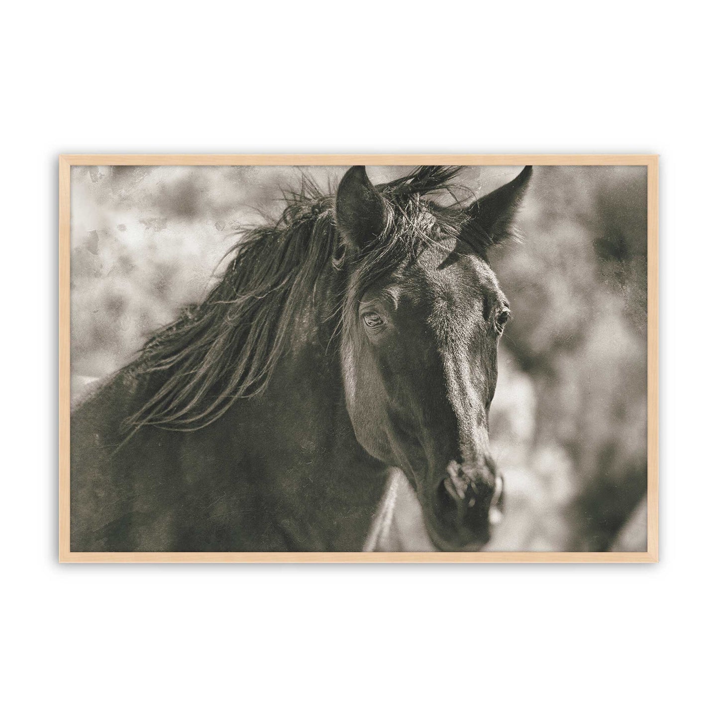[Color:Raw Maple], Picture of art in a Raw Maple frame