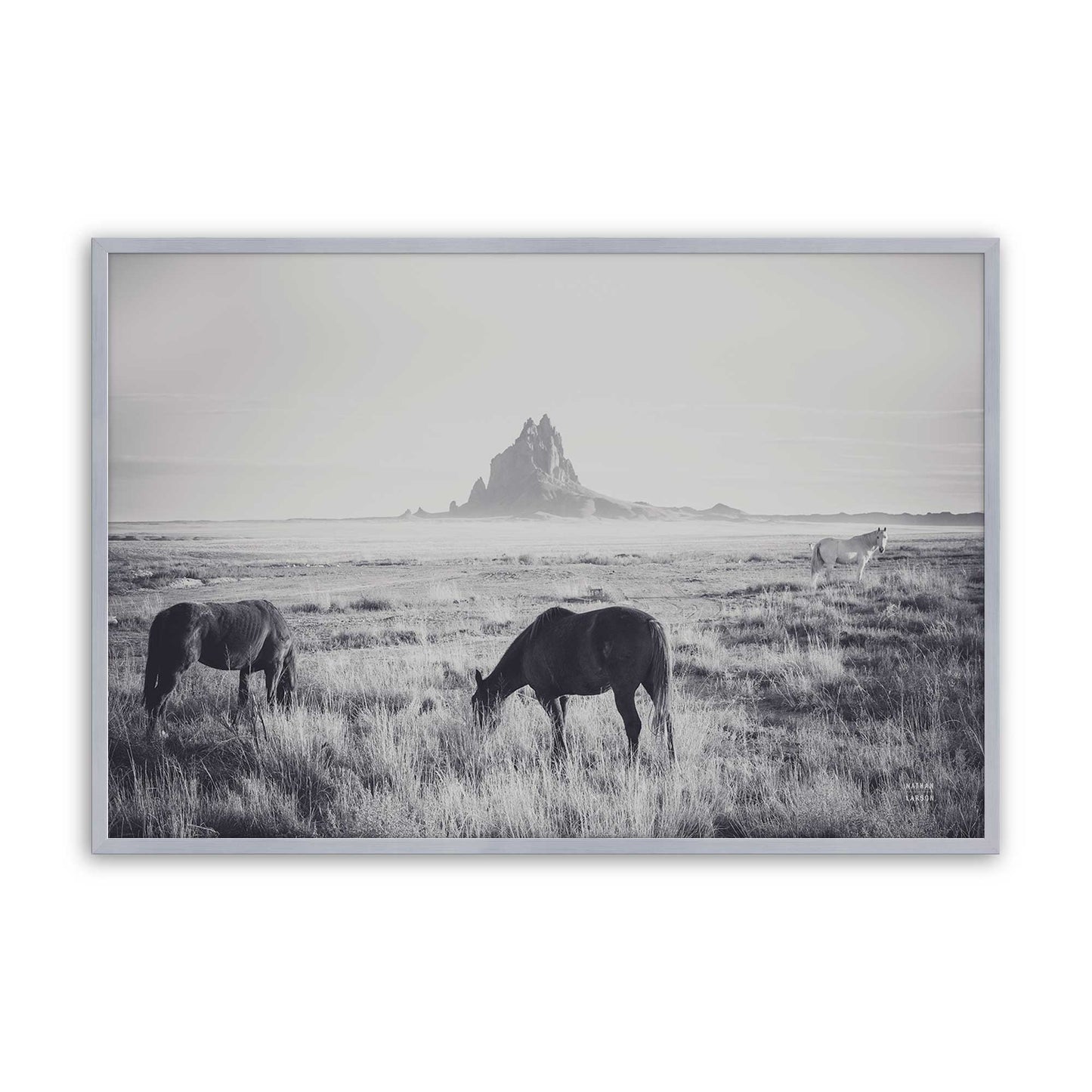 [Color:Polished Chrome], Picture of art in a Polished Chrome frame