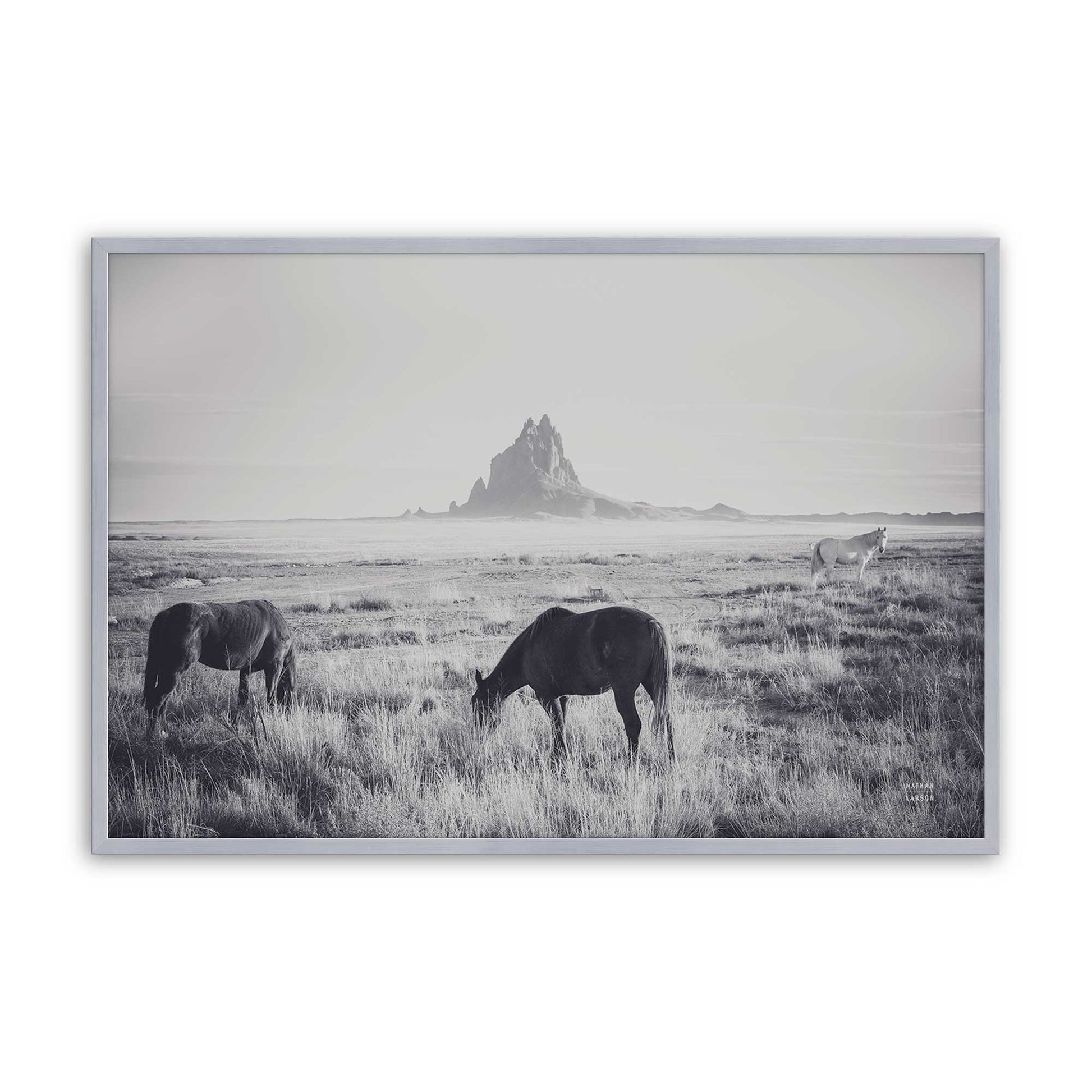 [Color:Polished Chrome], Picture of art in a Polished Chrome frame