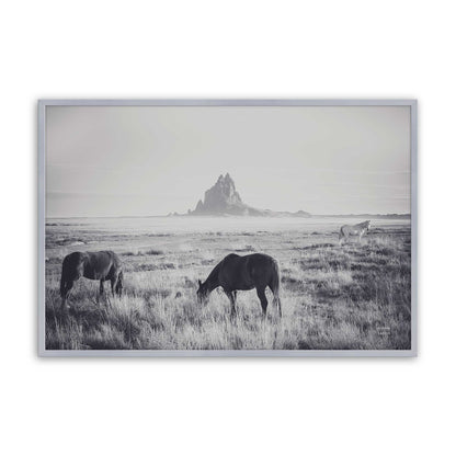 [Color:Polished Chrome], Picture of art in a Polished Chrome frame