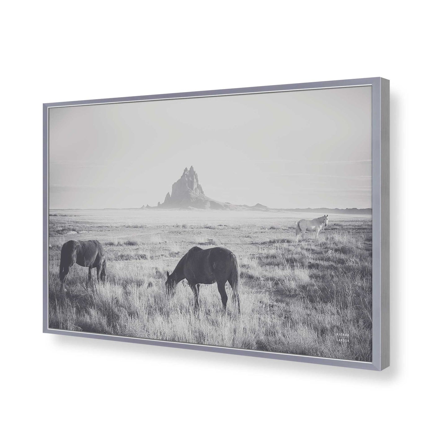 [Color:Polished Chrome], Picture of art in a Polished Chrome frame of the corner