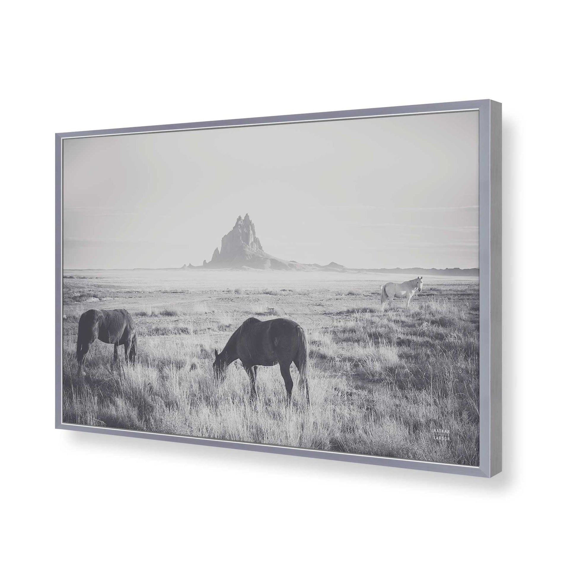 [Color:Polished Chrome], Picture of art in a Polished Chrome frame of the corner