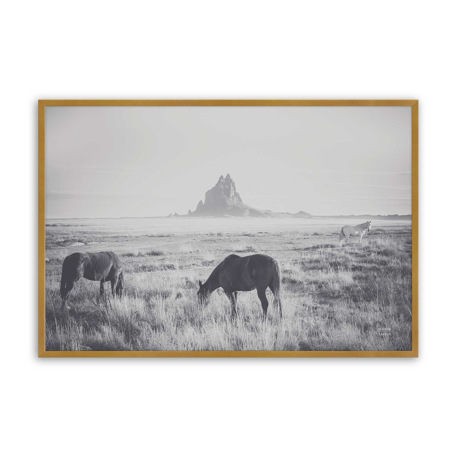 [Color:Polished Gold], Picture of art in a Polished Gold frame