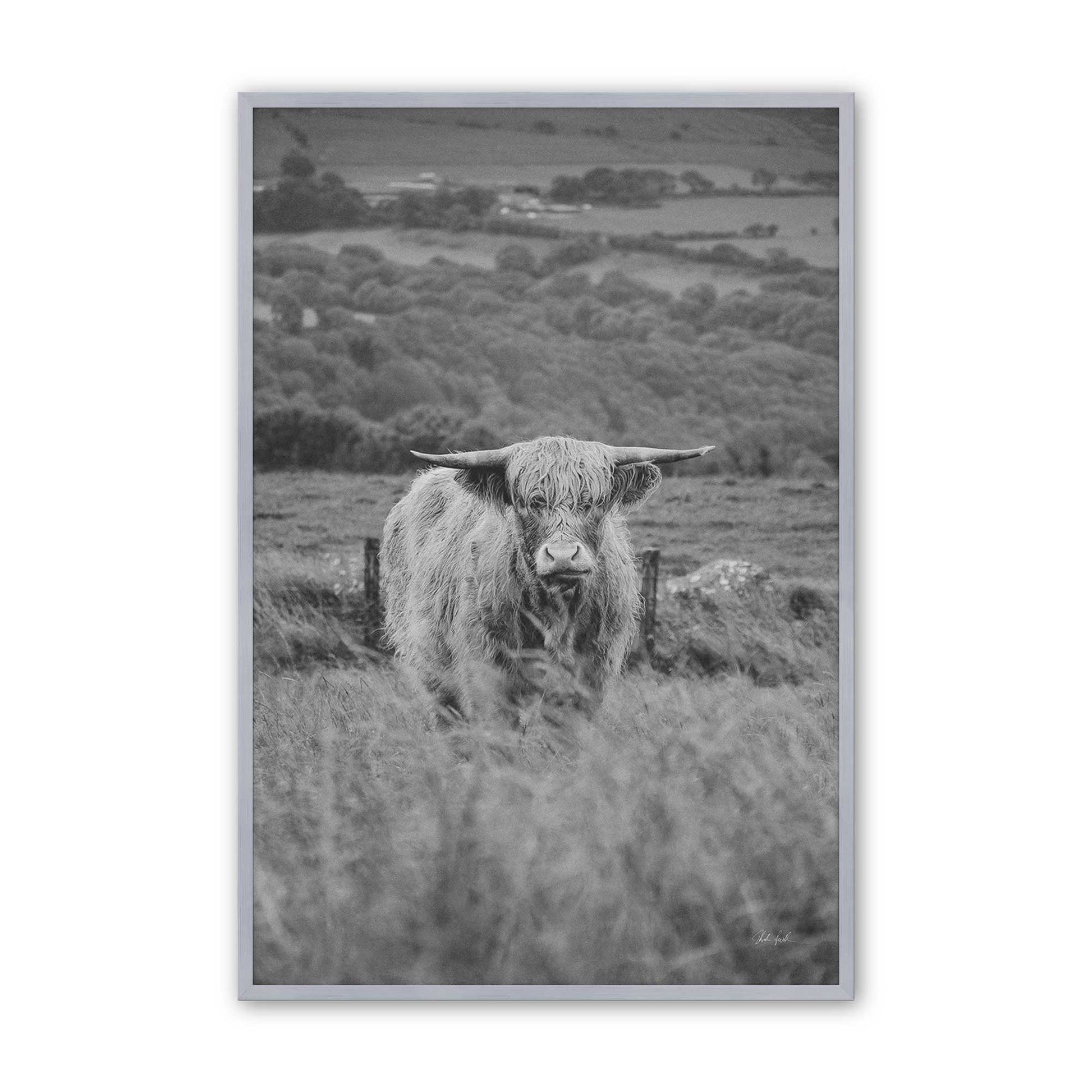 [Color:Polished Chrome], Picture of art in a Polished Chrome frame