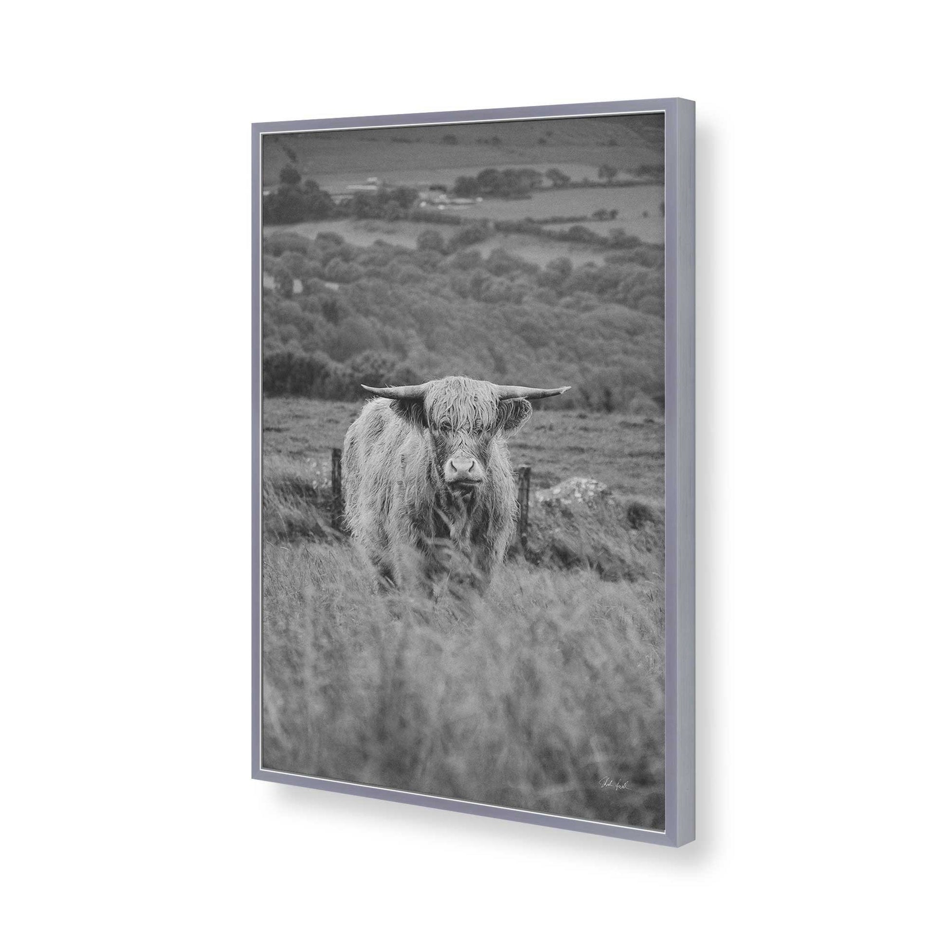 [Color:Polished Chrome], Picture of art in a Polished Chrome frame of the corner