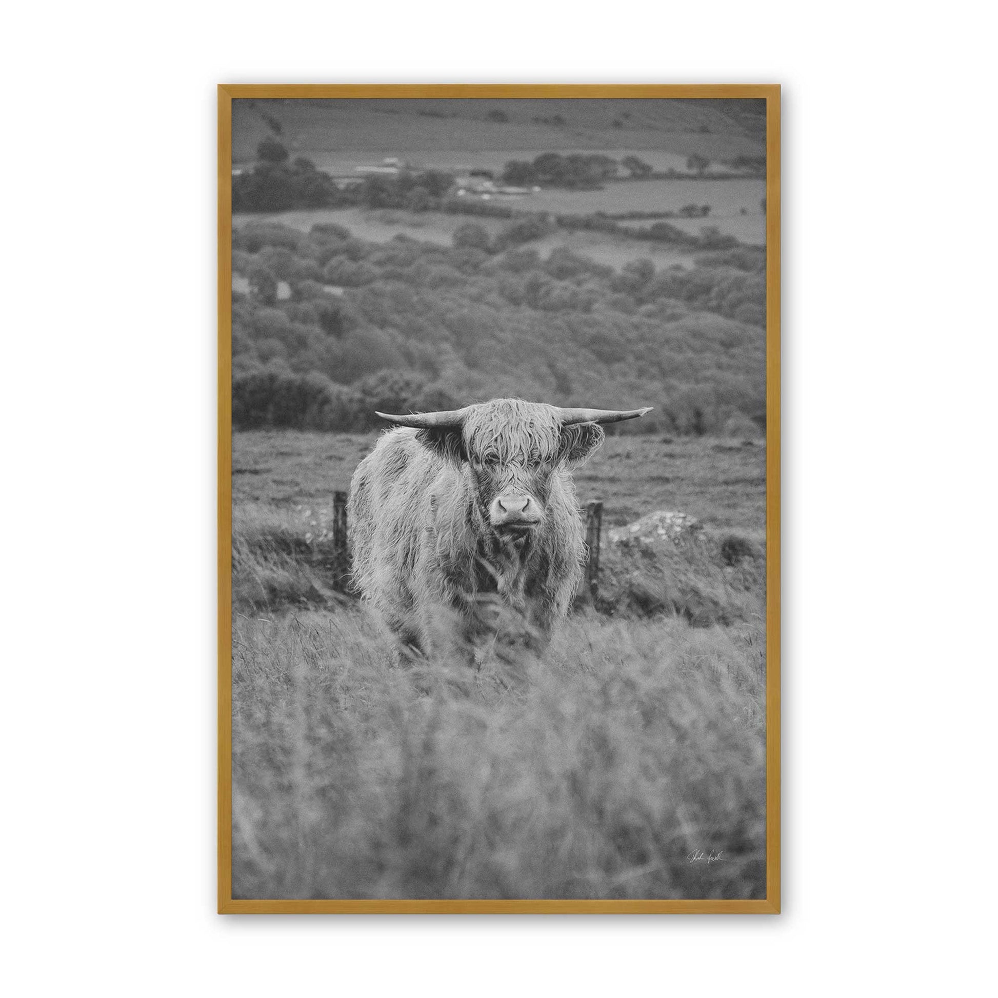 [Color:Polished Gold], Picture of art in a Polished Gold frame