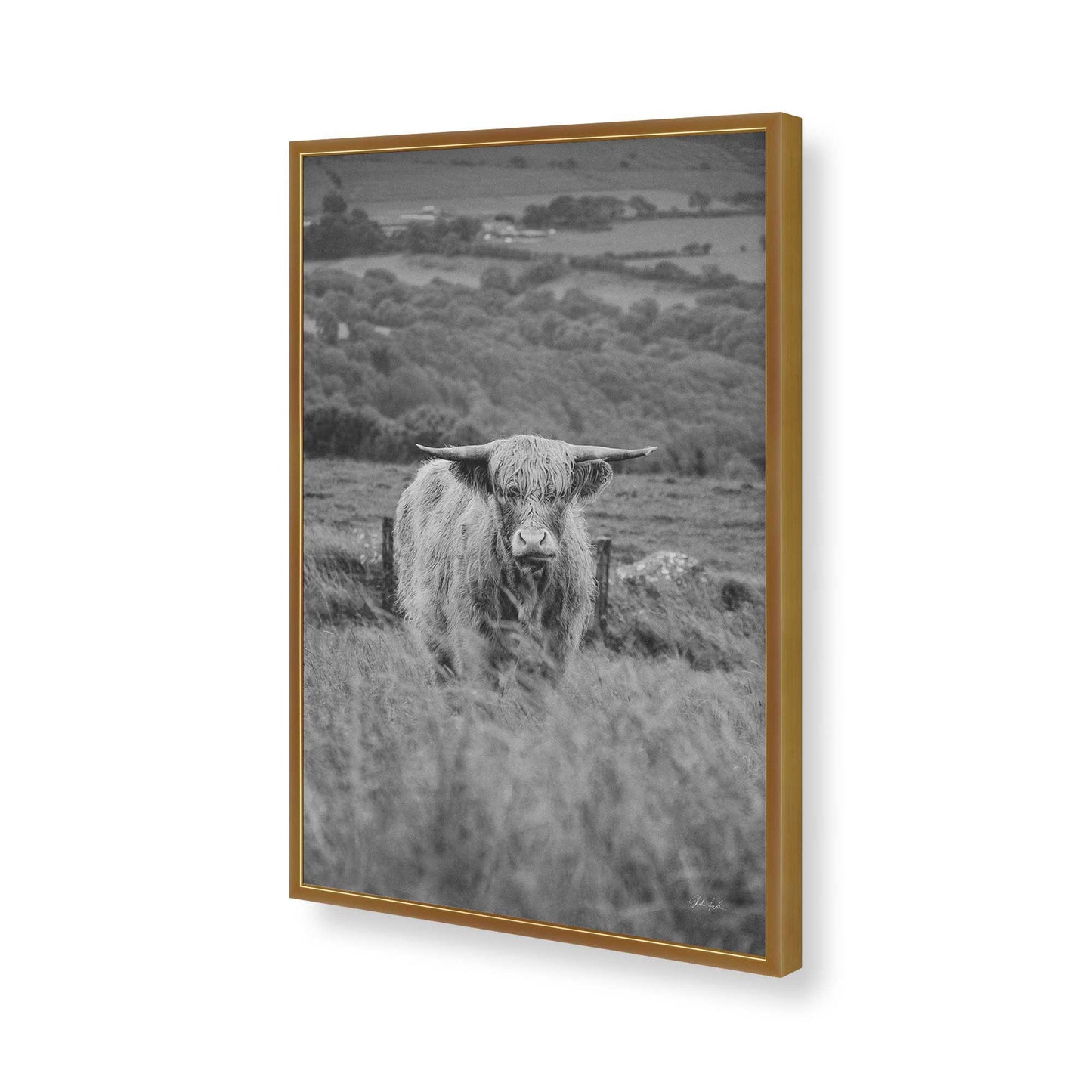 [Color:Polished Gold], Picture of art in a Polished Gold frame of the corner