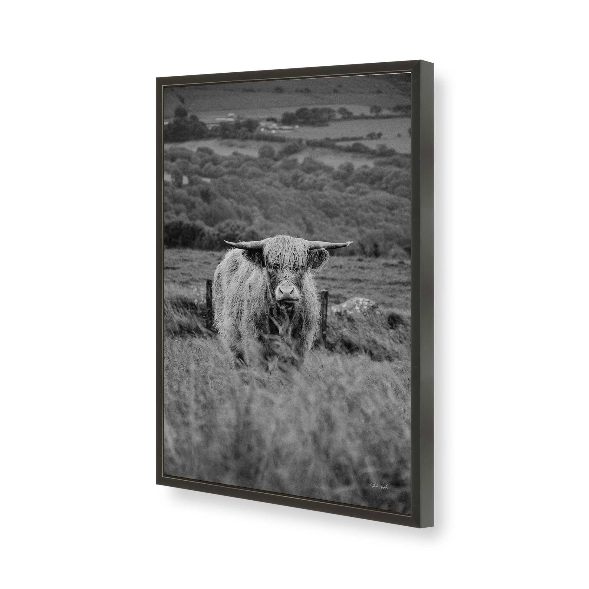 [Color:Satin Black], Picture of art in a Satin Black frame of the corner