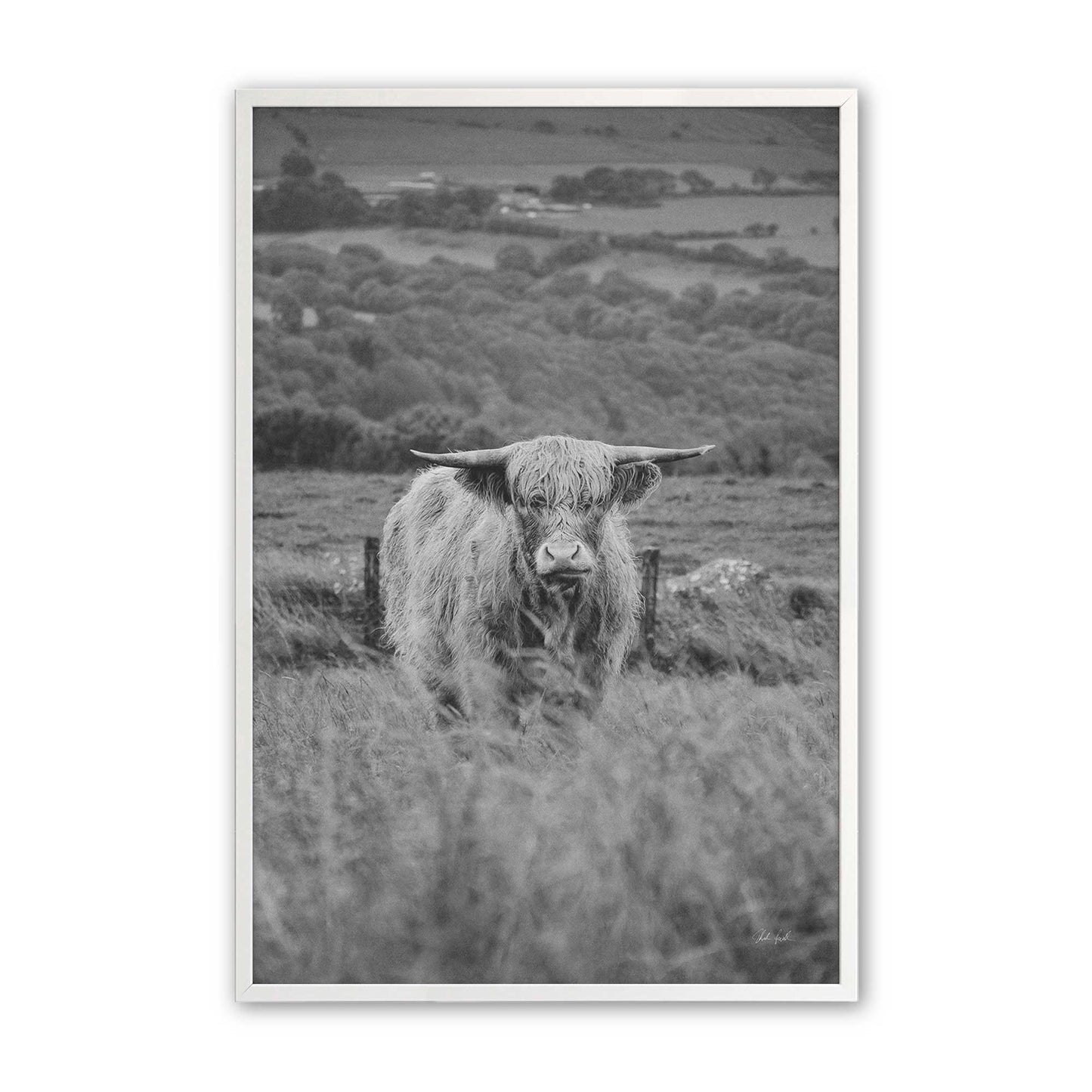 [Color:Opaque White], Picture of art in a Opaque White frame