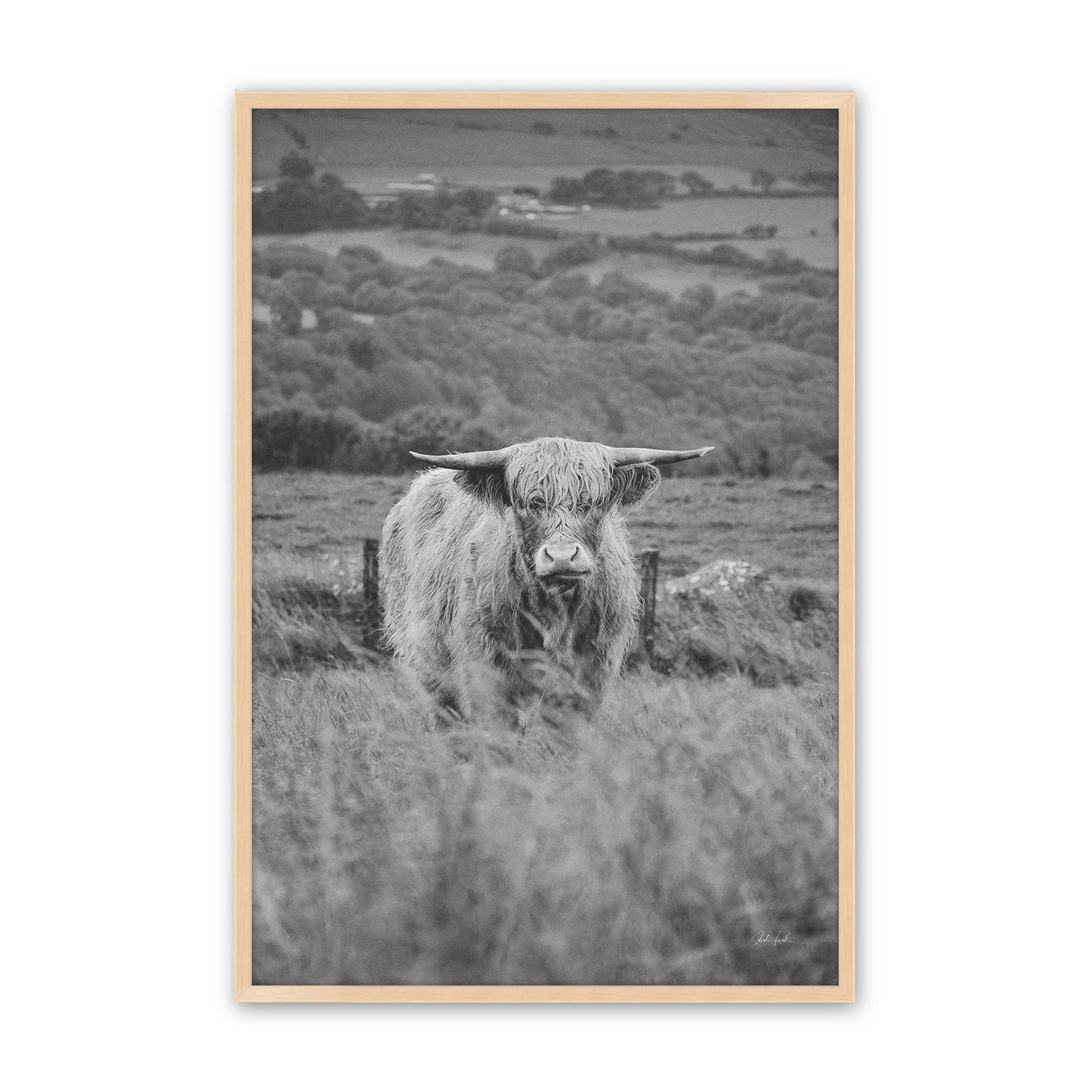 [Color:Raw Maple], Picture of art in a Raw Maple frame
