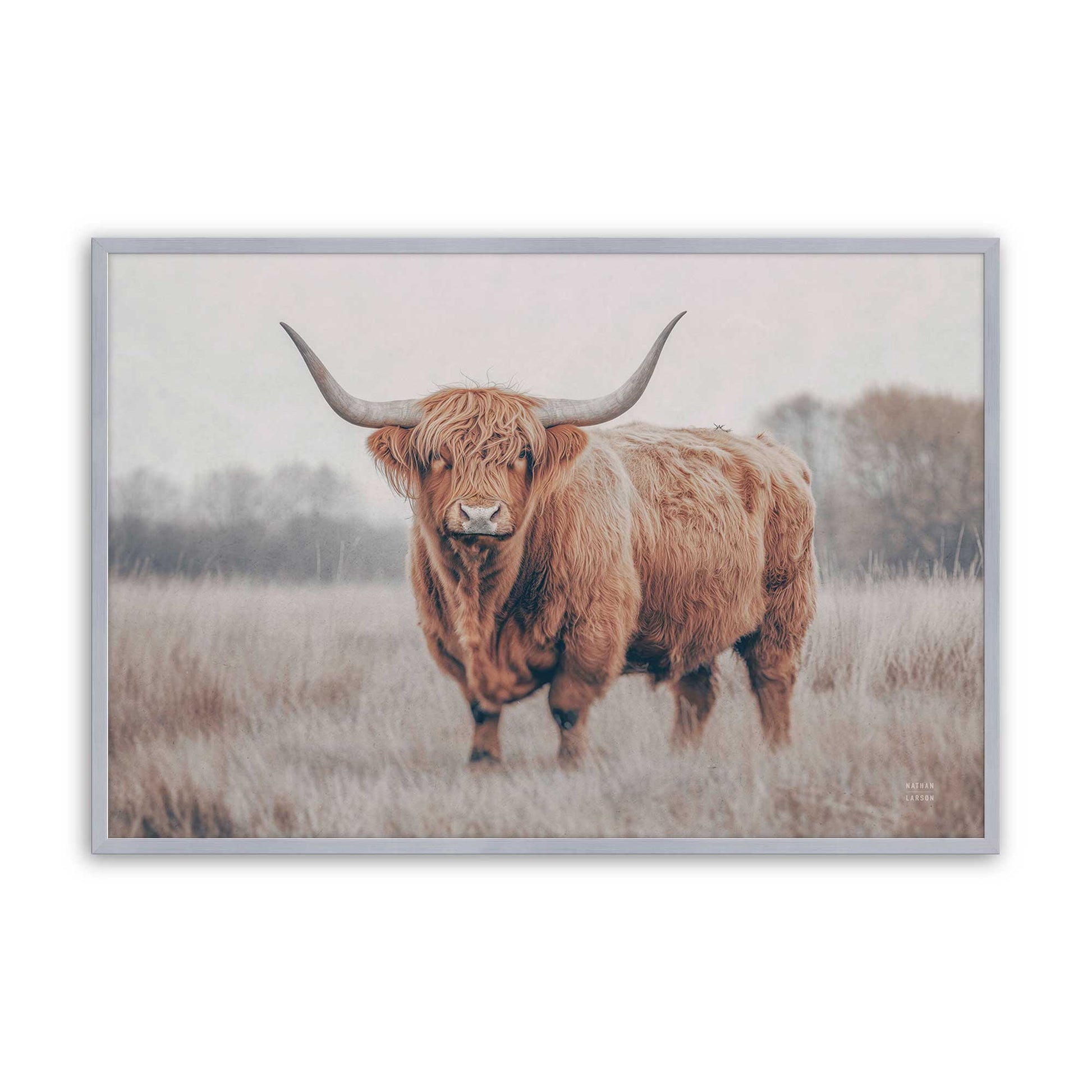 [Color:Polished Chrome], Picture of art in a Polished Chrome frame