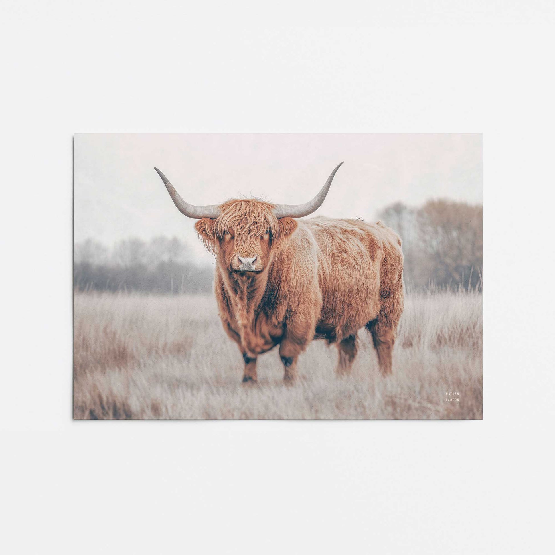 [Color:Rolled Print], Picture of close up of art