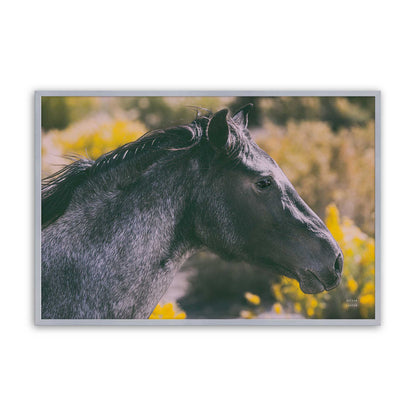 [Color:Polished Chrome], Picture of art in a Polished Chrome frame
