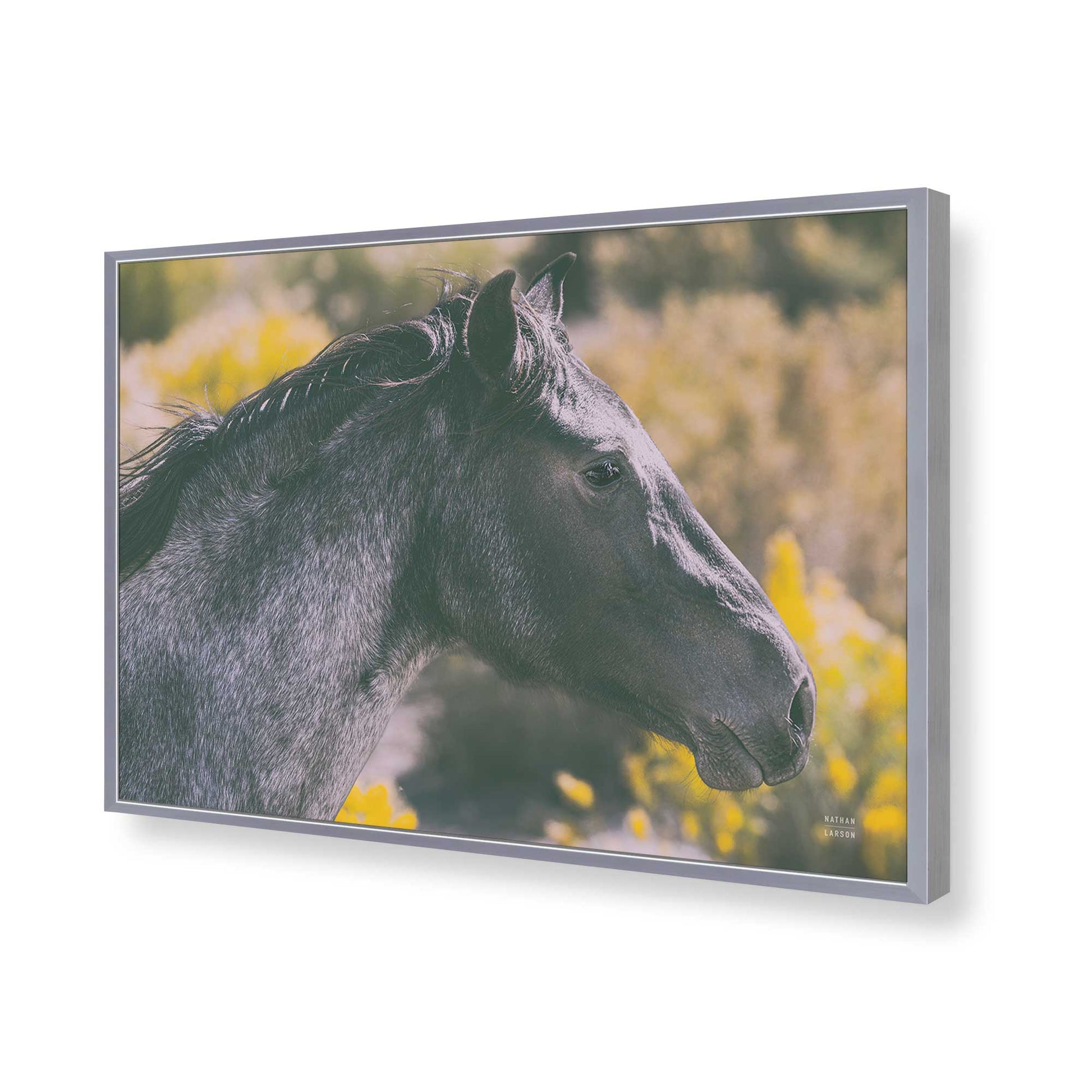 [Color:Polished Chrome], Picture of art in a Polished Chrome frame of the corner