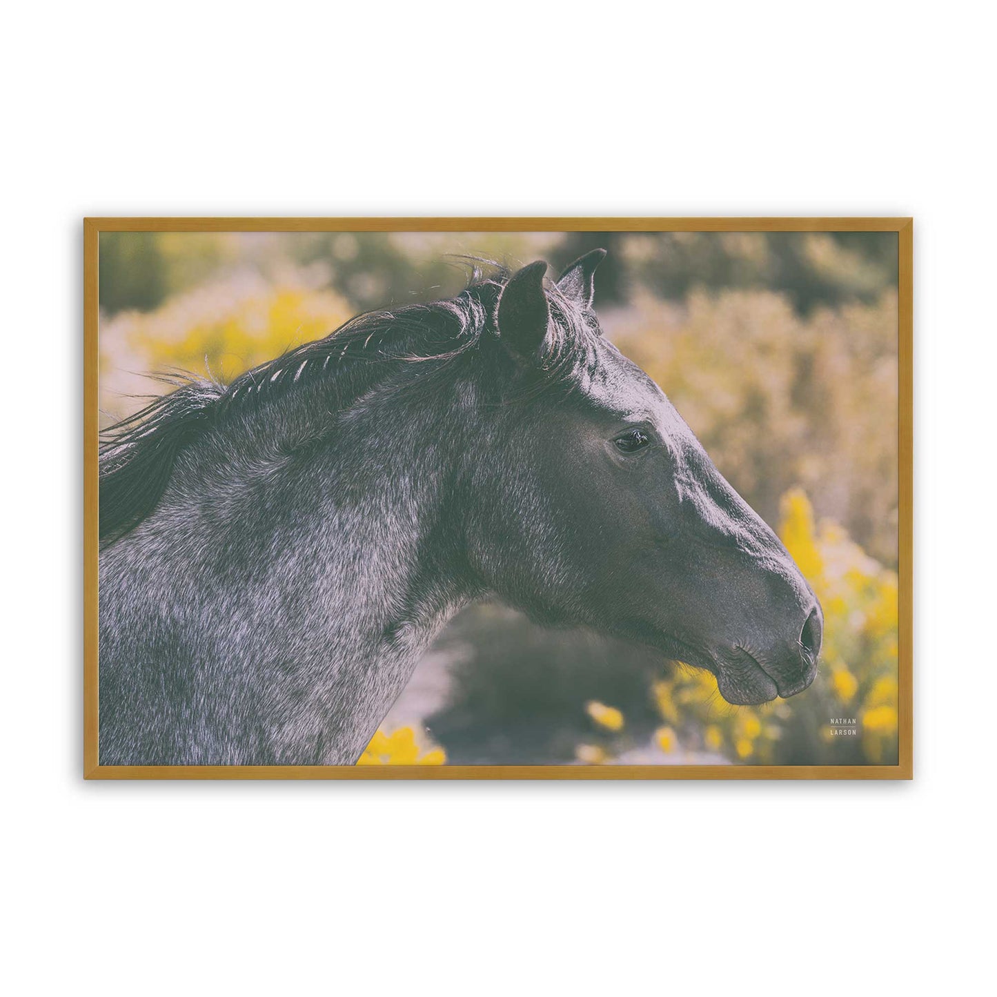 [Color:Polished Gold], Picture of art in a Polished Gold frame