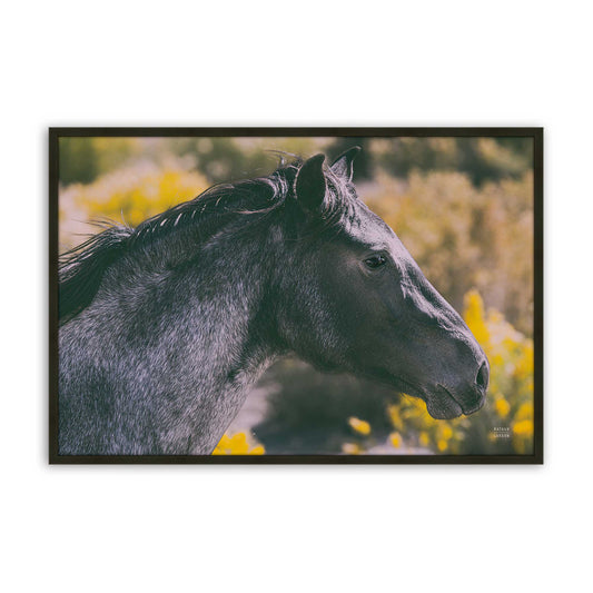 [Color:Satin Black], front image