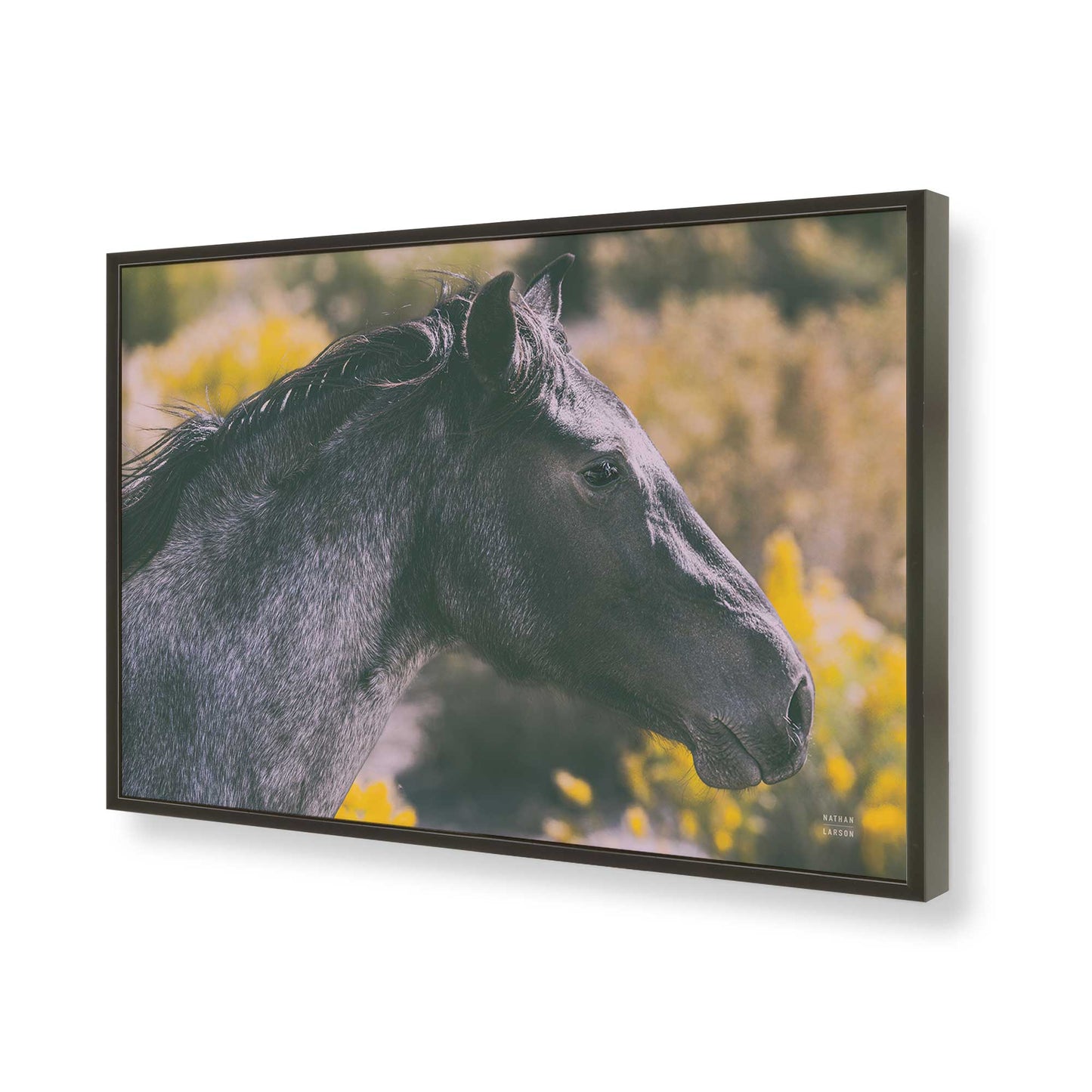 [Color:Satin Black], Picture of art in a Satin Black frame of the corner