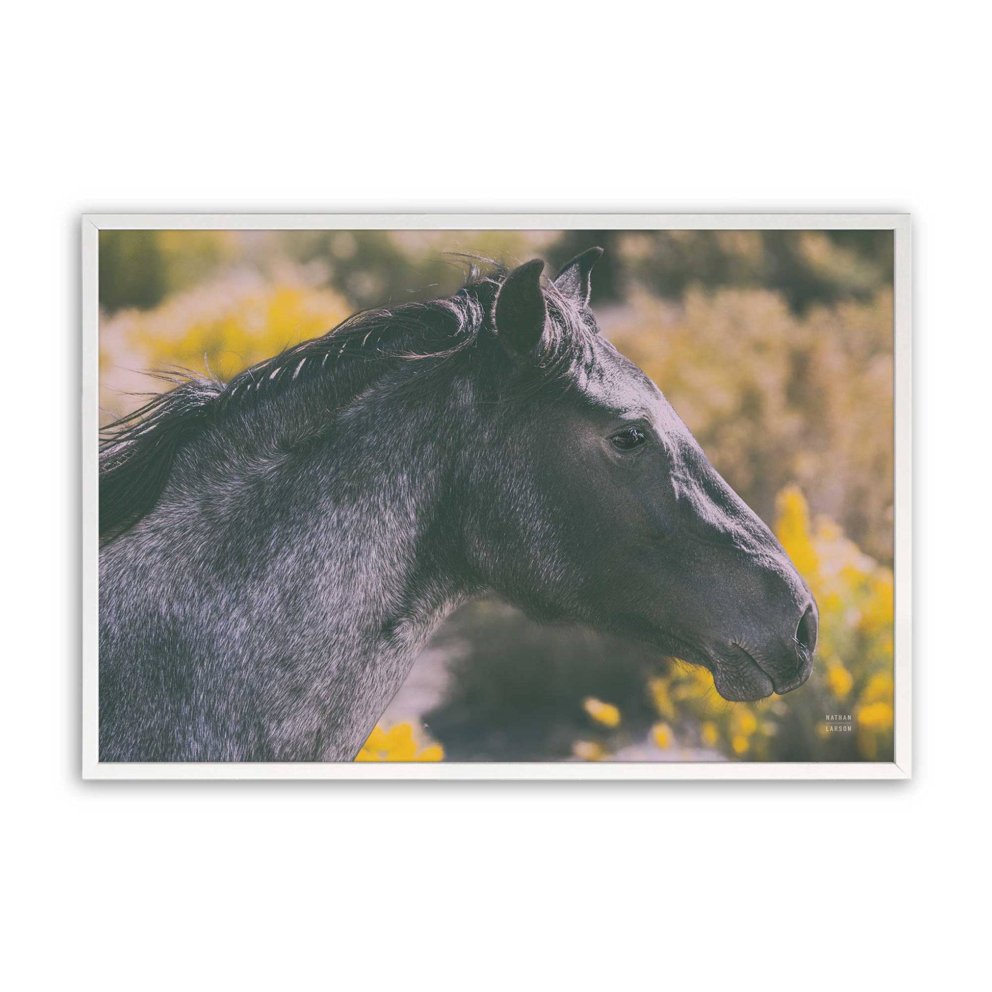 [Color:Opaque White], Picture of art in a Opaque White frame