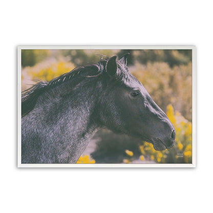 [Color:Opaque White], Picture of art in a Opaque White frame