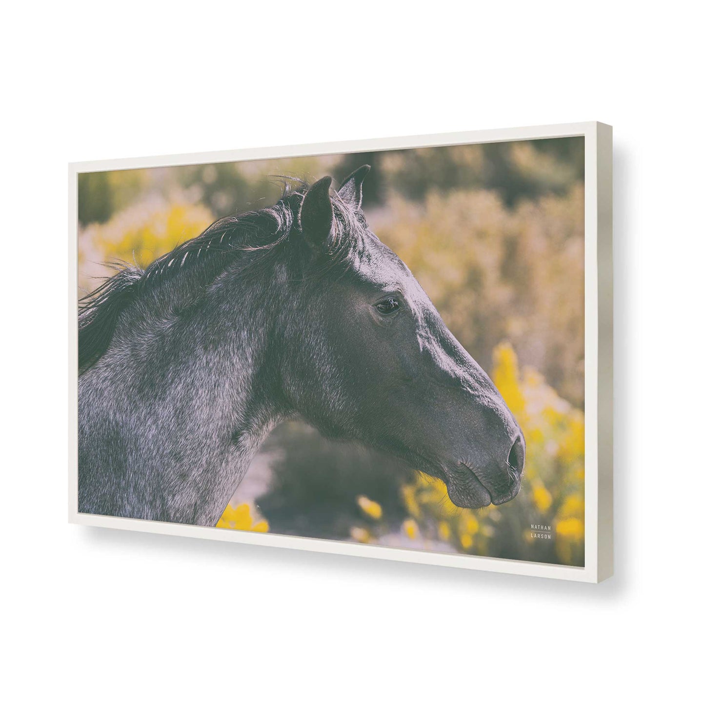 [Color:Opaque White], Picture of art in a Opaque White frame of the corner