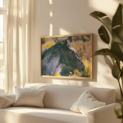 [LIFESTYLE],[SPECIAL], Art in a room
