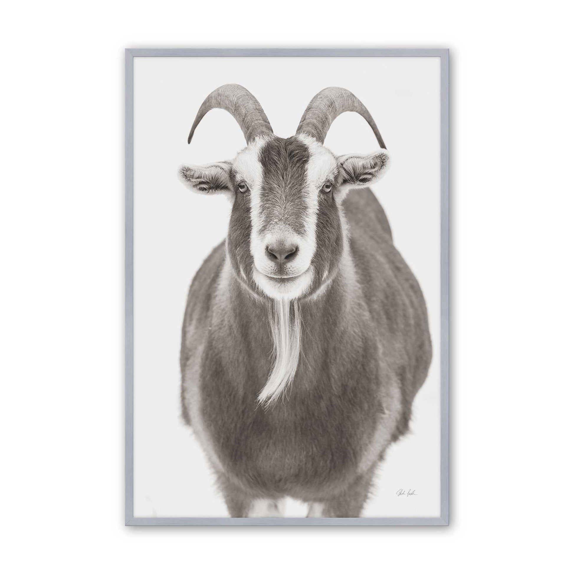 [Color:Polished Chrome], Picture of art in a Polished Chrome frame